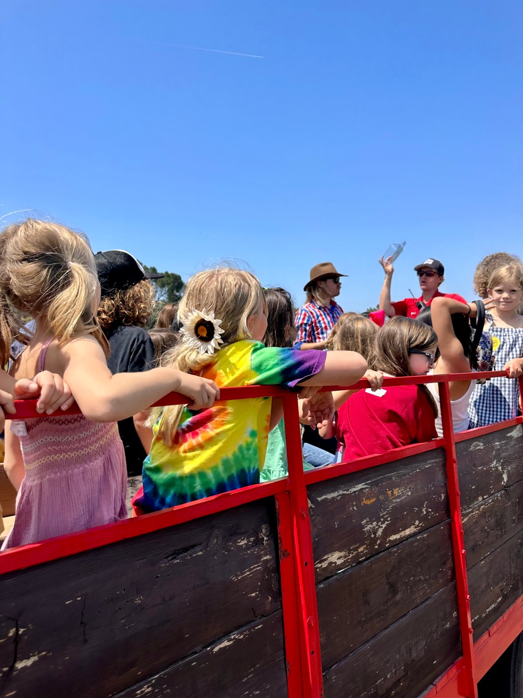 En dag på Underwood&nbsp;Farm