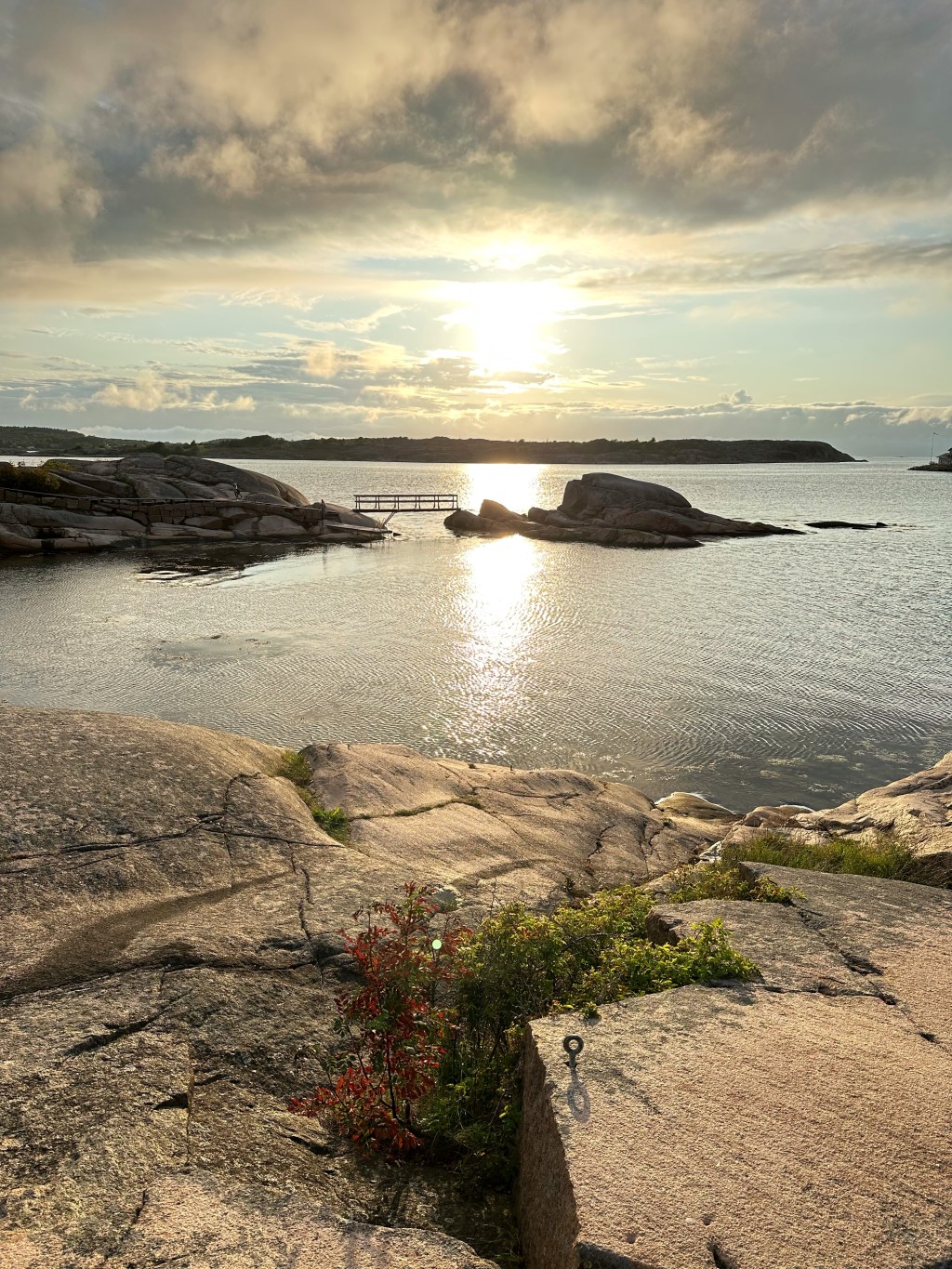 Sommaren 2023 🫶🏻