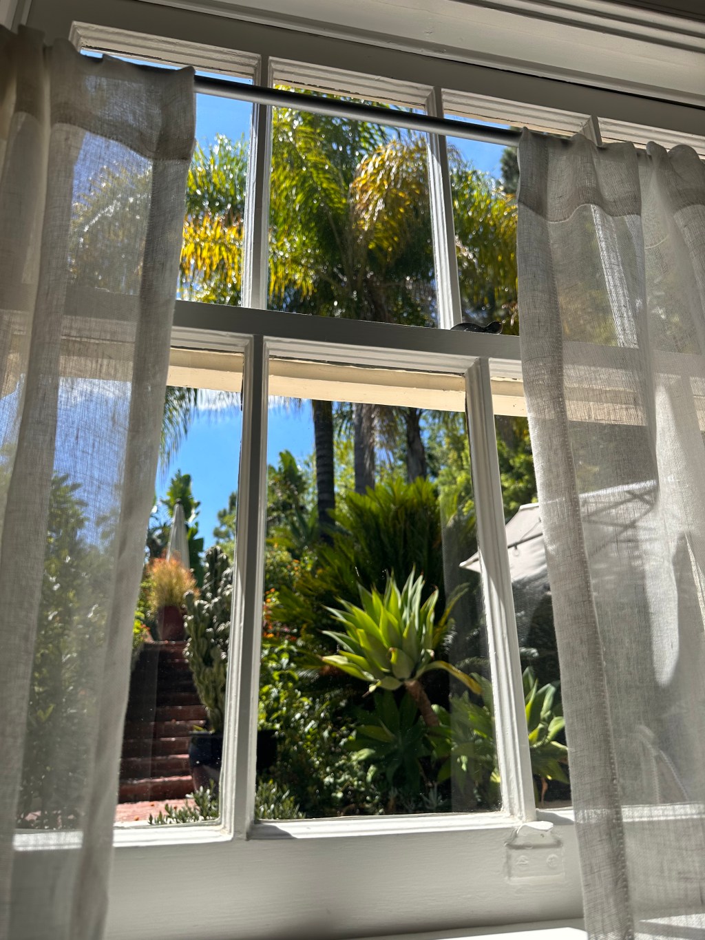 Första veckan tillbaka