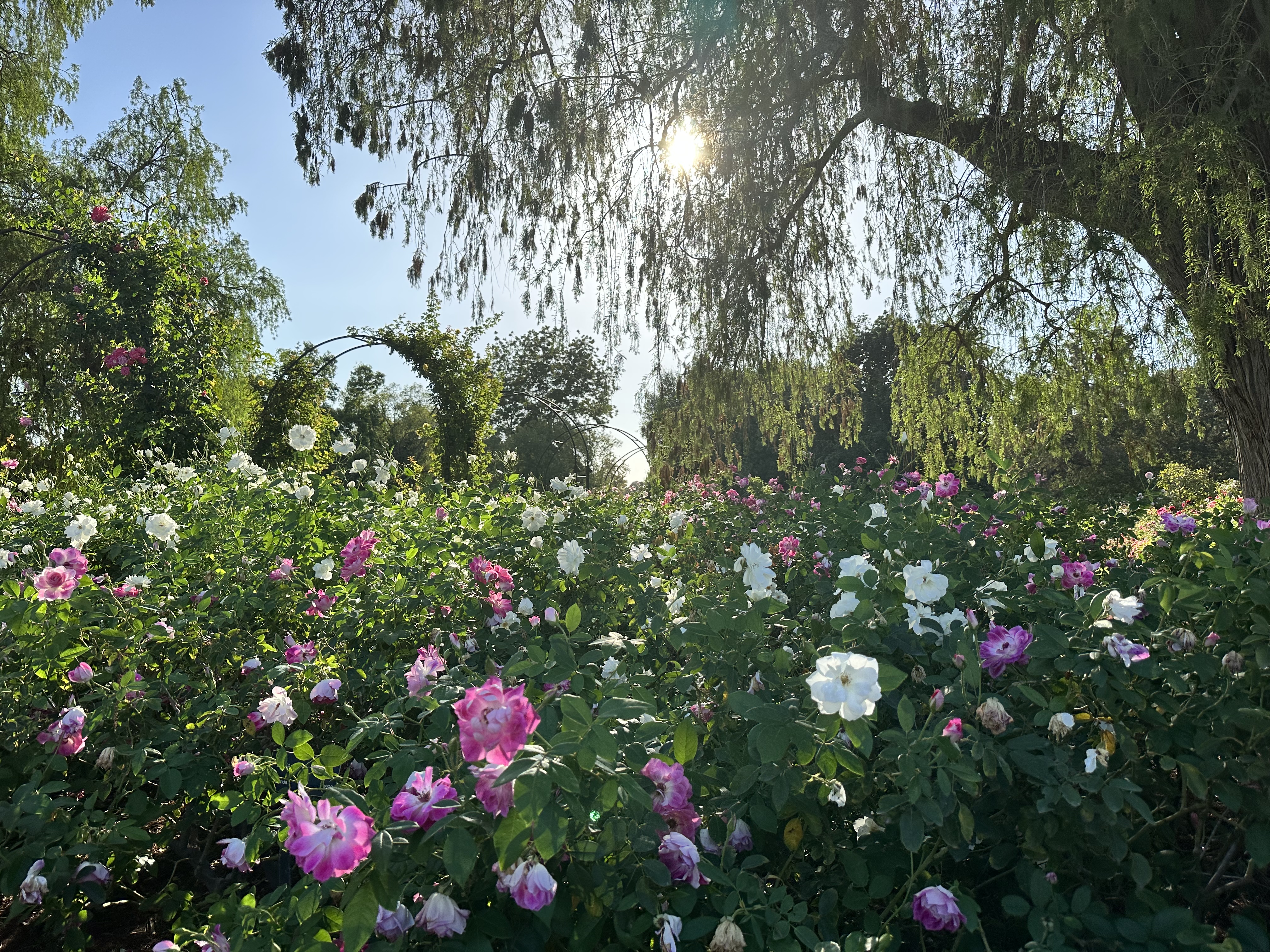 85ED545A-A36C-4371-9246-67B59E6A082D