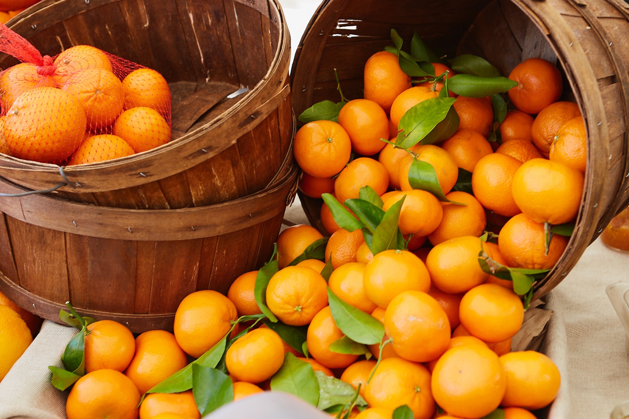 Untitled Job__S1_7501