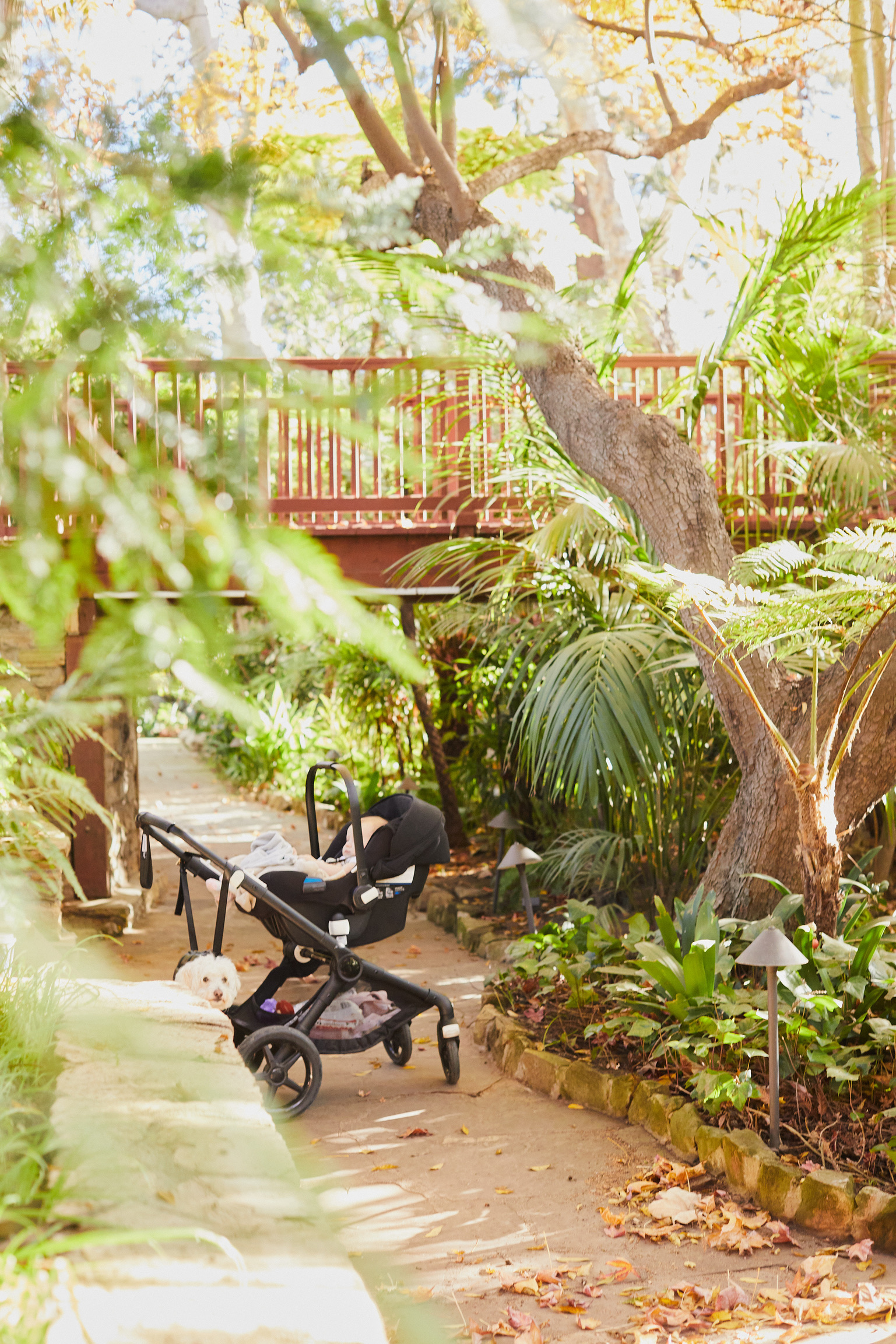 A9090888-156E-4A5B-9BAF-78803B14006A