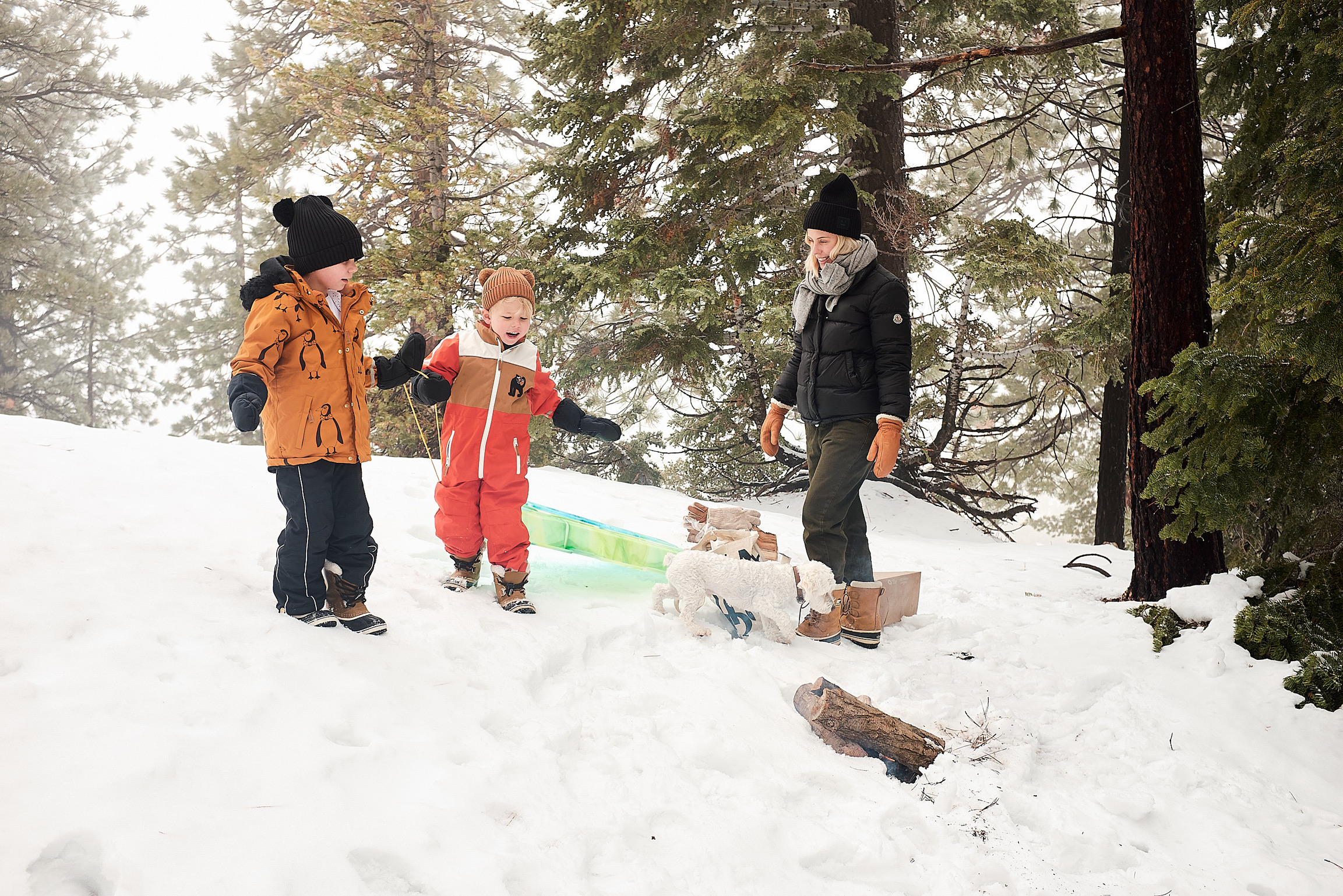 D910C987-D3CF-40D0-91A9-EFE08804B6EA