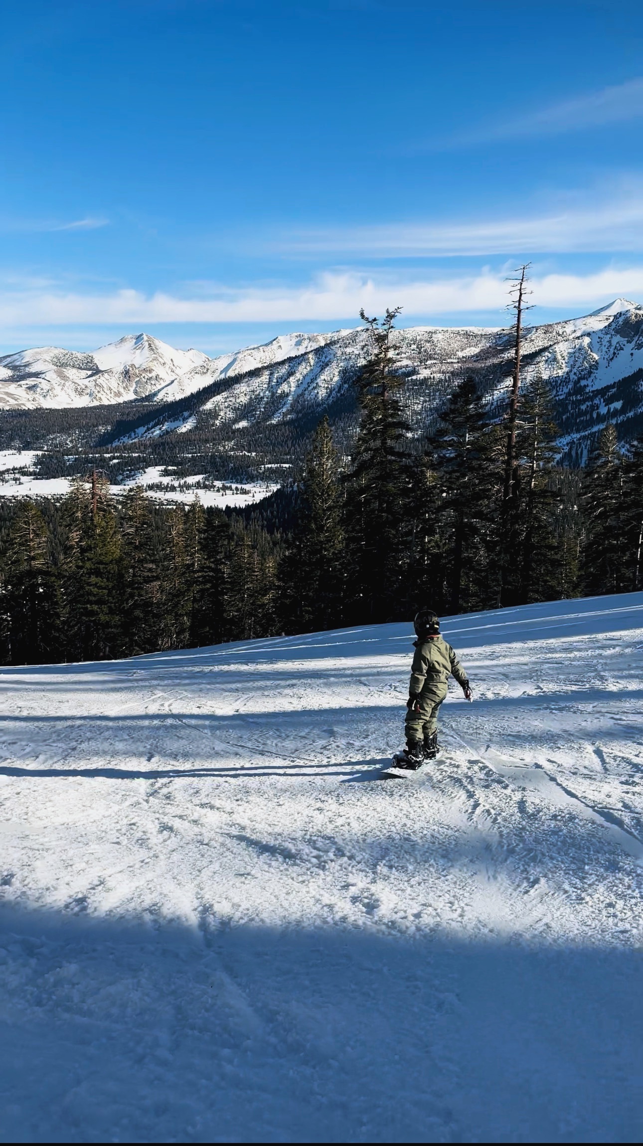 99106B9D-0728-45BF-9D74-16275971B894