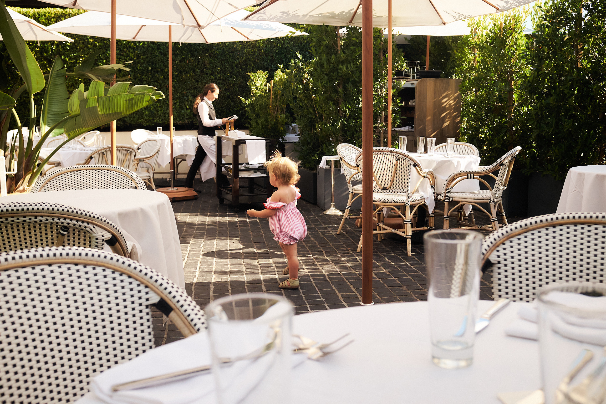 669A1D90-DC1E-4678-90CE-F730DF0BCD25