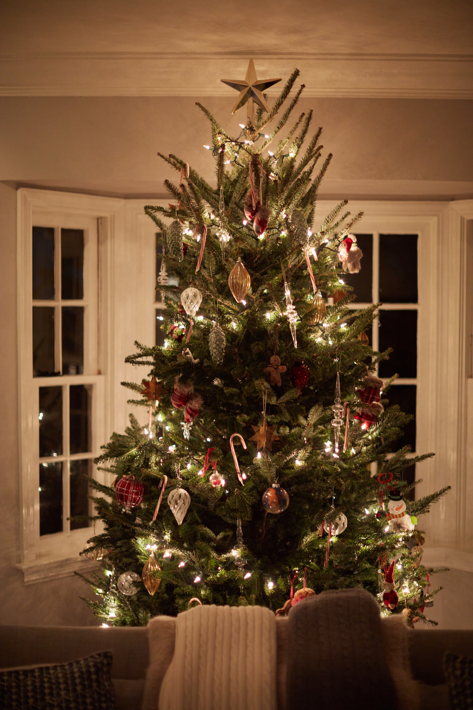 ED76019D-4A14-43C2-A0D0-7214EB9E191C