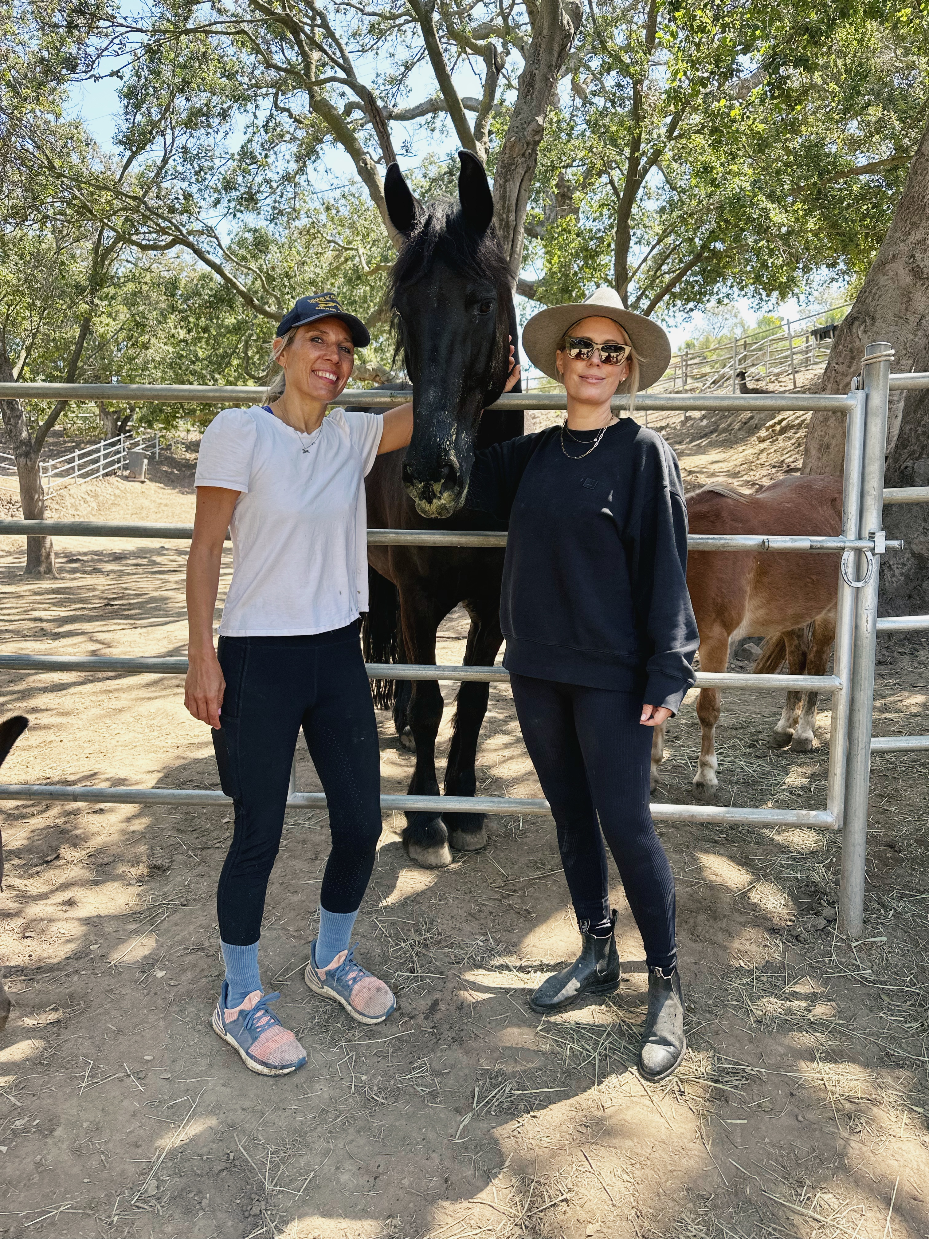 9228087C-EB36-419F-9186-CC7A1908685D