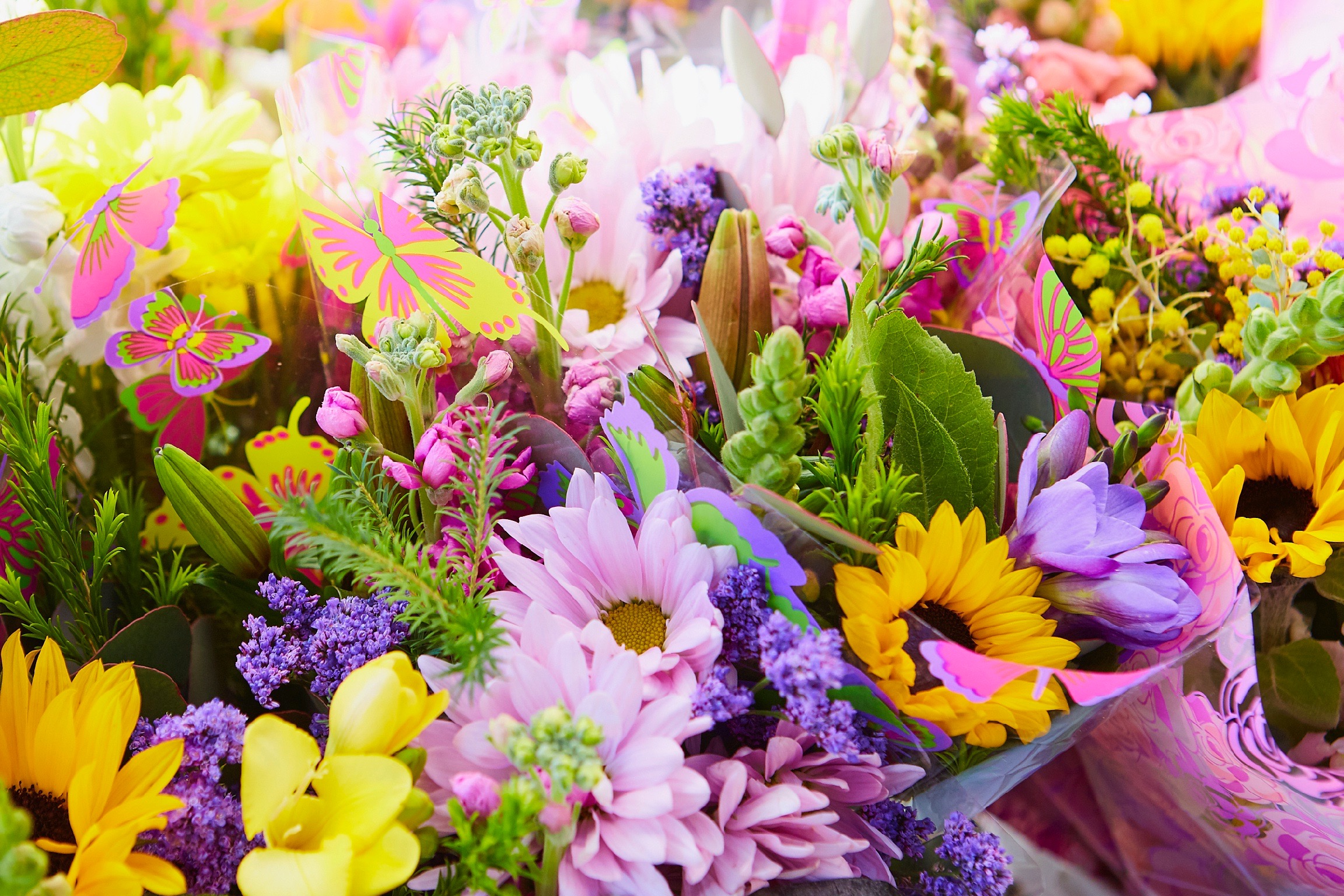 Untitled Job__S1_7514