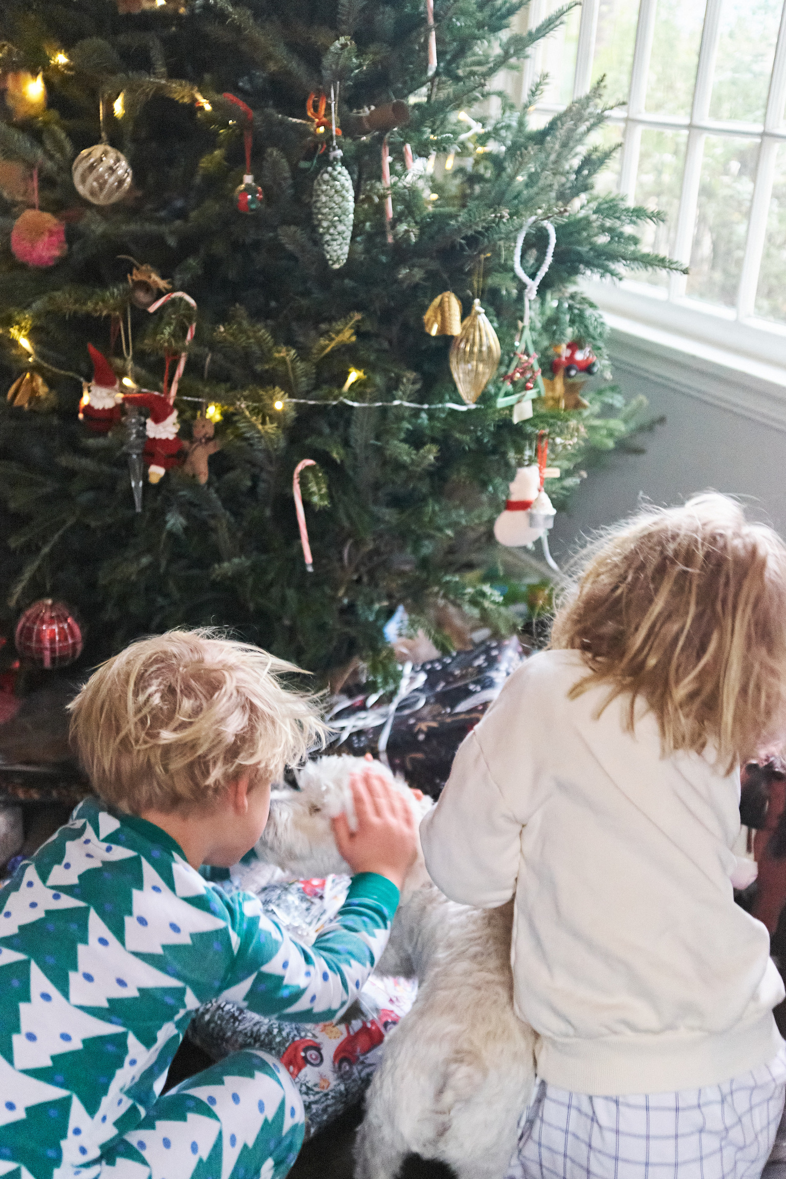 F535858A-F6F7-479A-9F74-F8955F182DE2