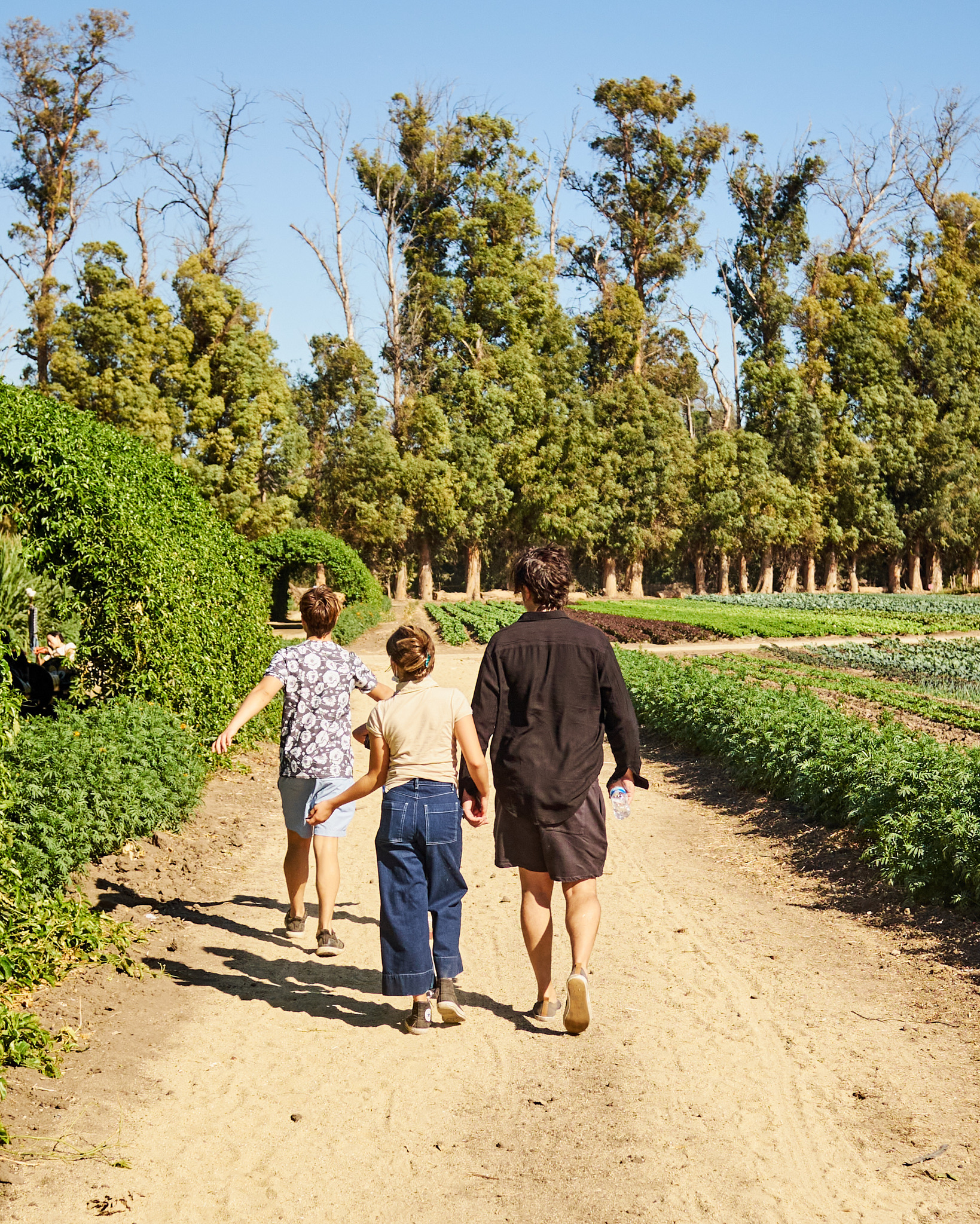 D17168DE-CD72-46FE-A458-2D5AA3E16975