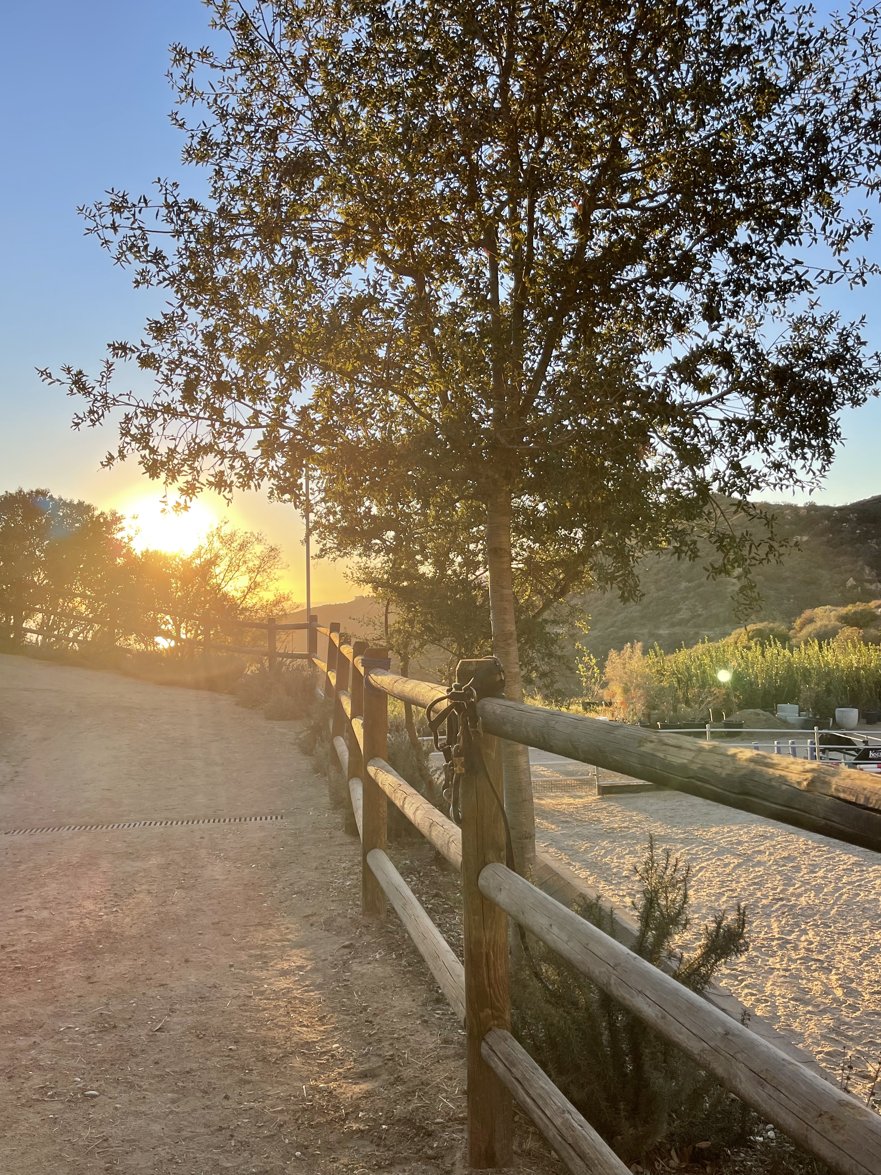 7940CBF4-0D76-439F-90F7-C1F15CB70B94