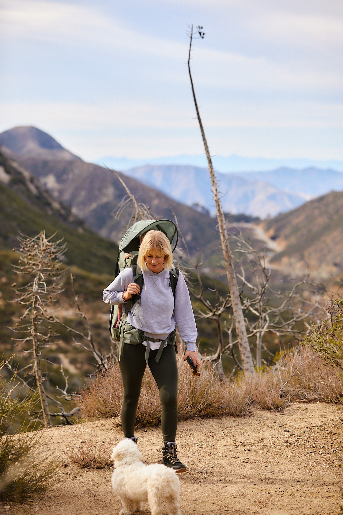 5FD0788A-E669-4D80-9E6F-CEF3AE1CC6B0