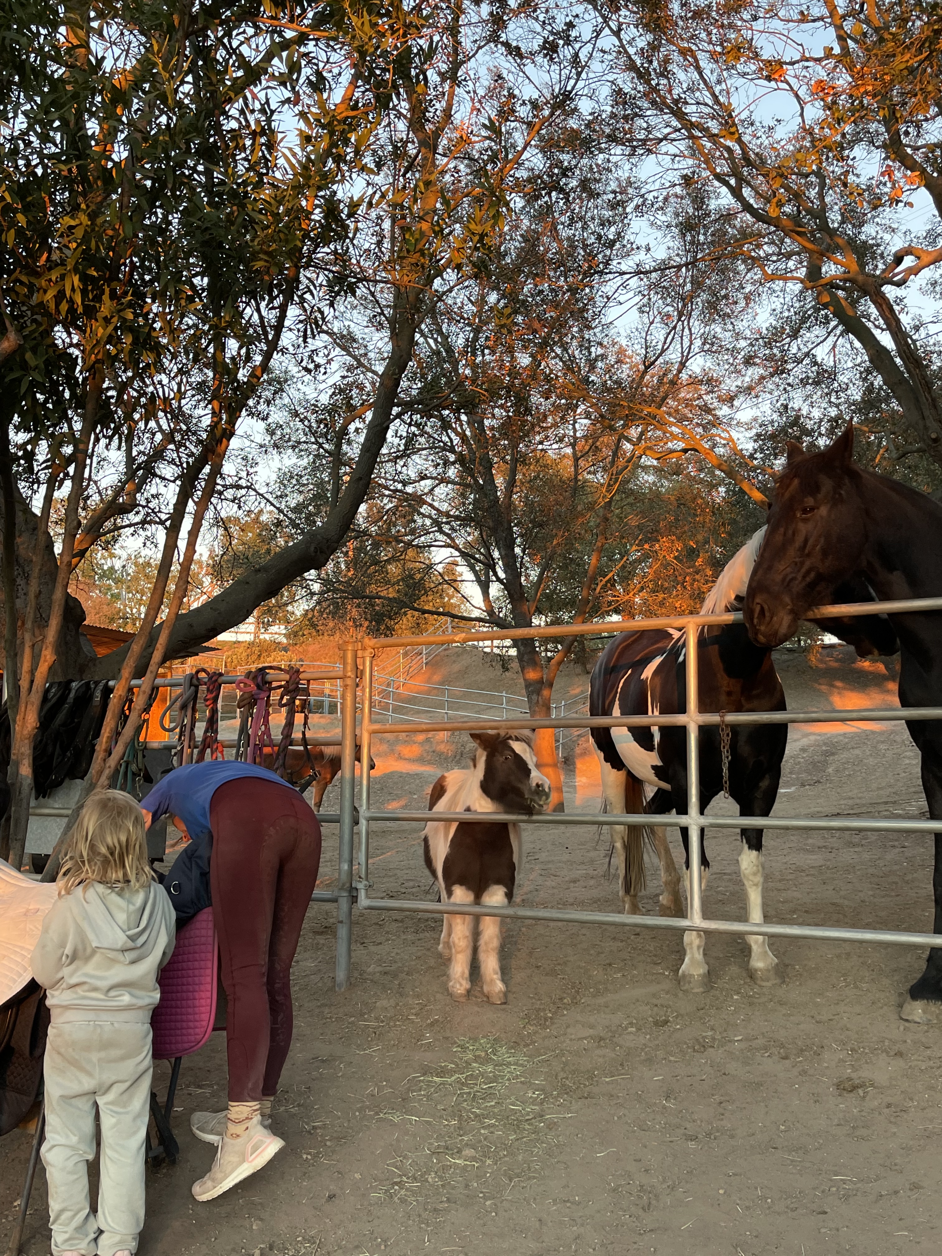 4A0C066A-94D0-4C5D-B761-F6D26B594C14