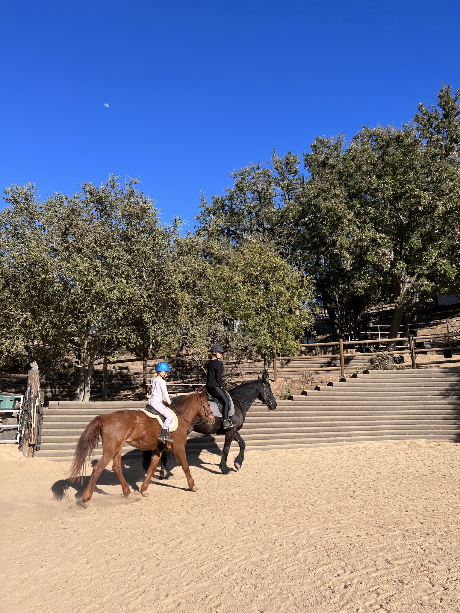 02F7031E-C13C-46F4-9F2E-3475287A4CAA