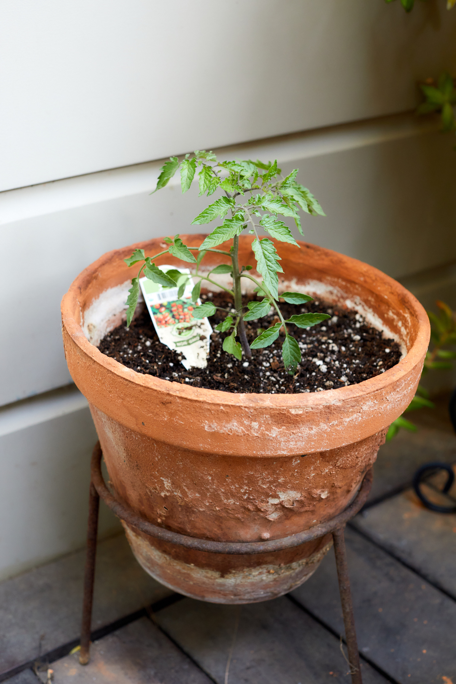 26099361-06A5-44CC-8C29-4409DC102FD5