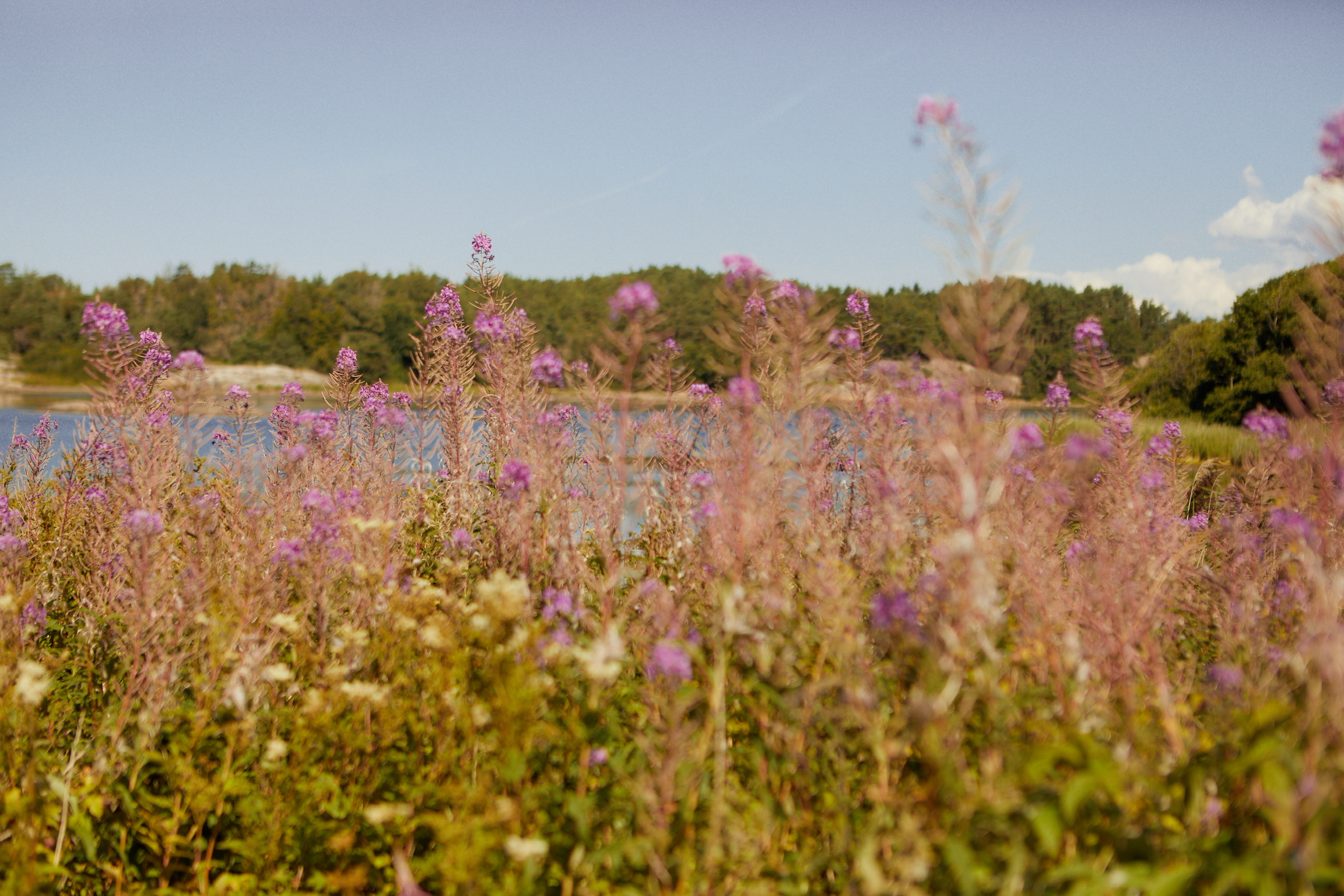 81EC0FC5-264A-4992-A333-C21DF40BD19A