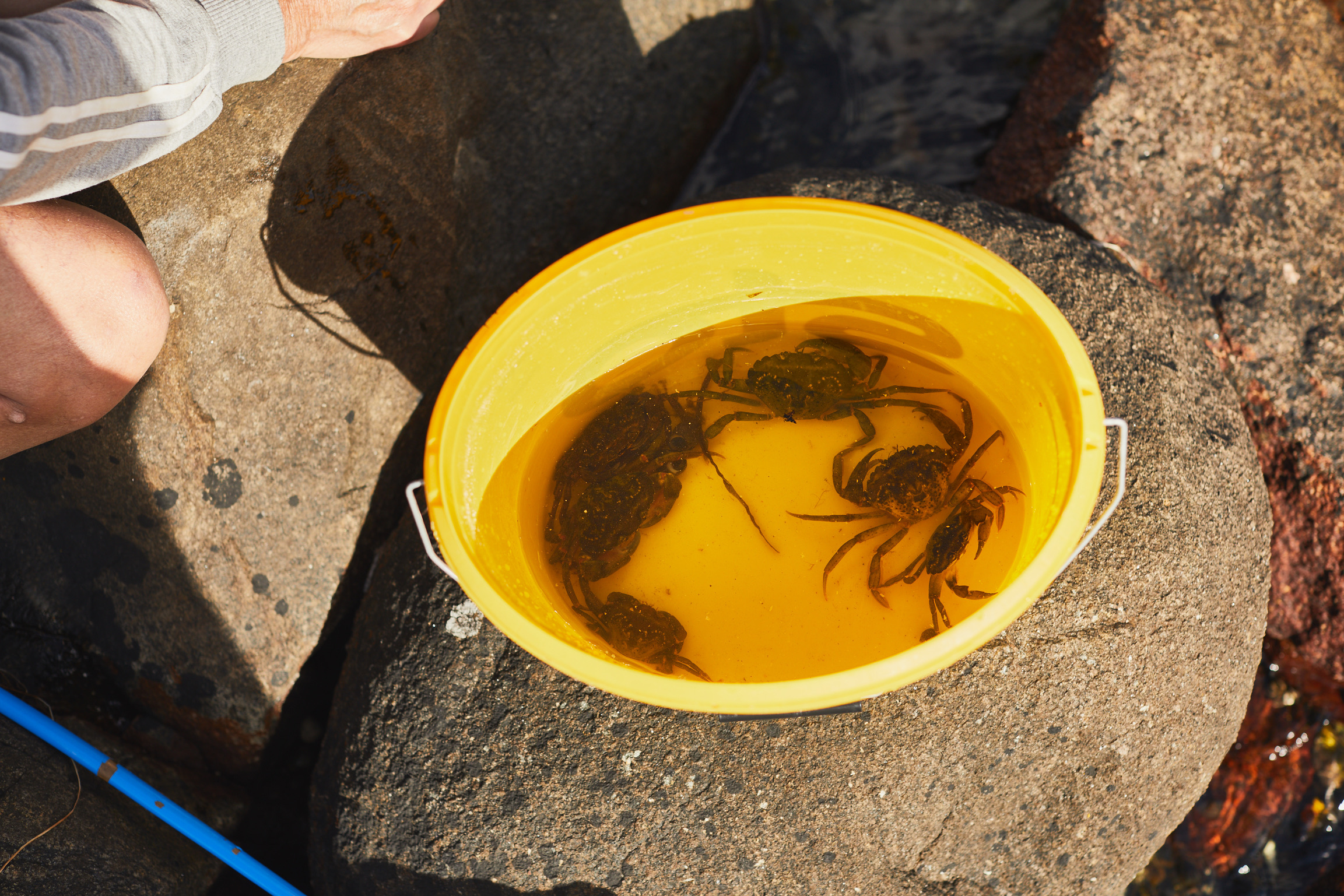 9947BE92-1FC9-4362-BD06-129AF3F1FBCE