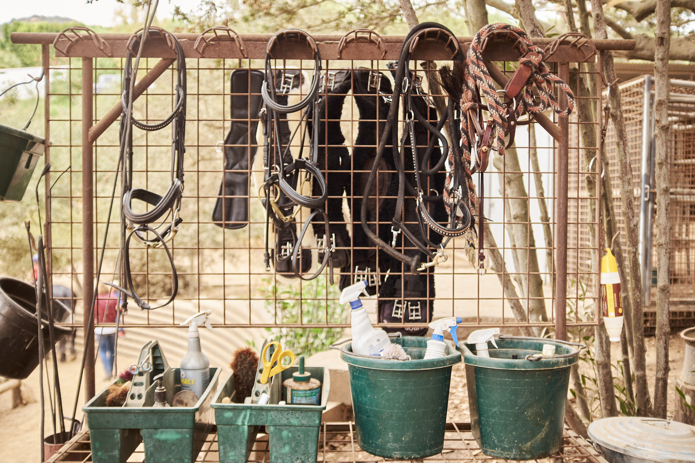 CD0D12D1-F905-4BBC-9E9B-8EBDB55FFD73