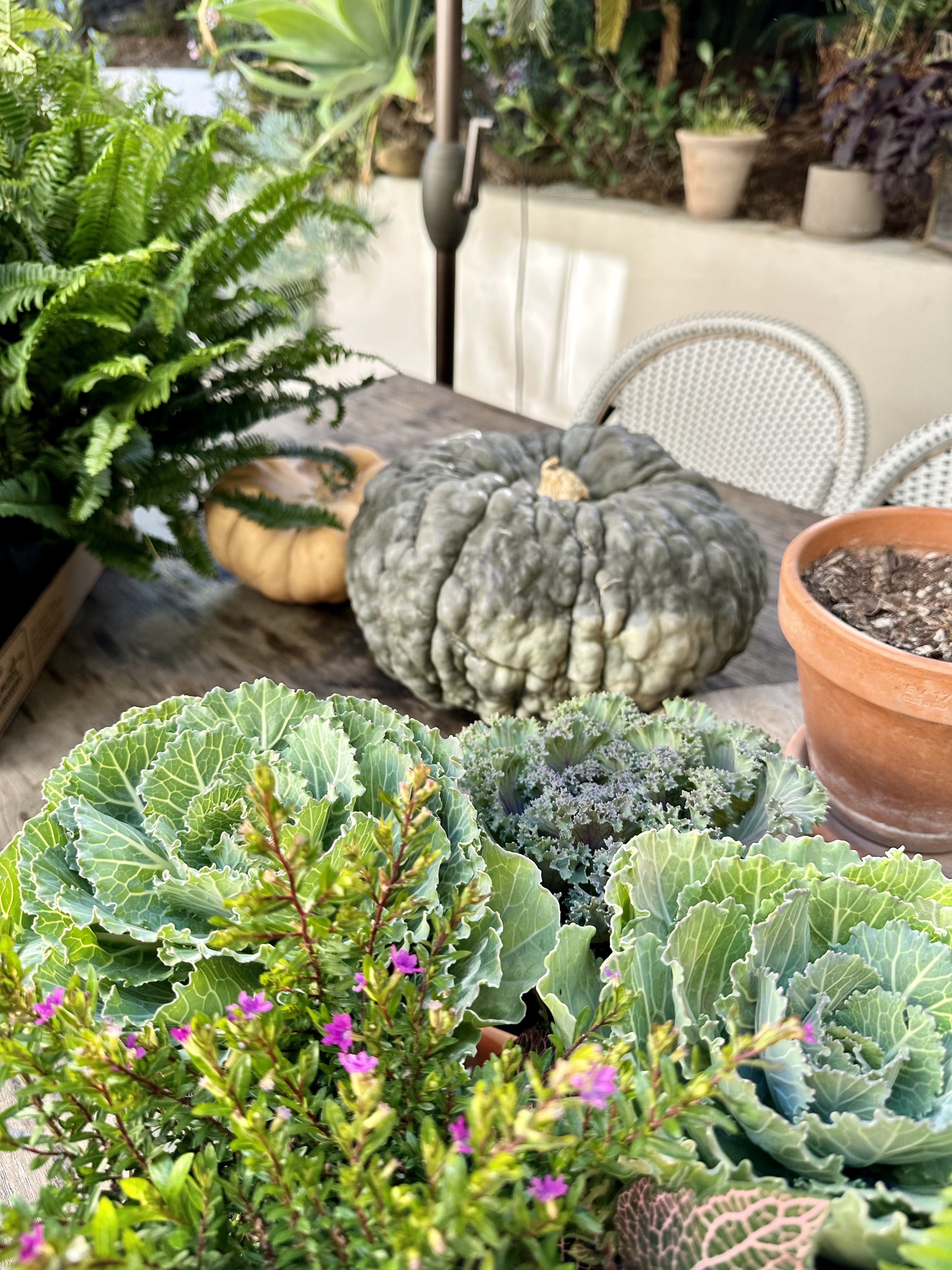 FA865D14-1B5C-4ABB-A942-D7B56AAEEC33