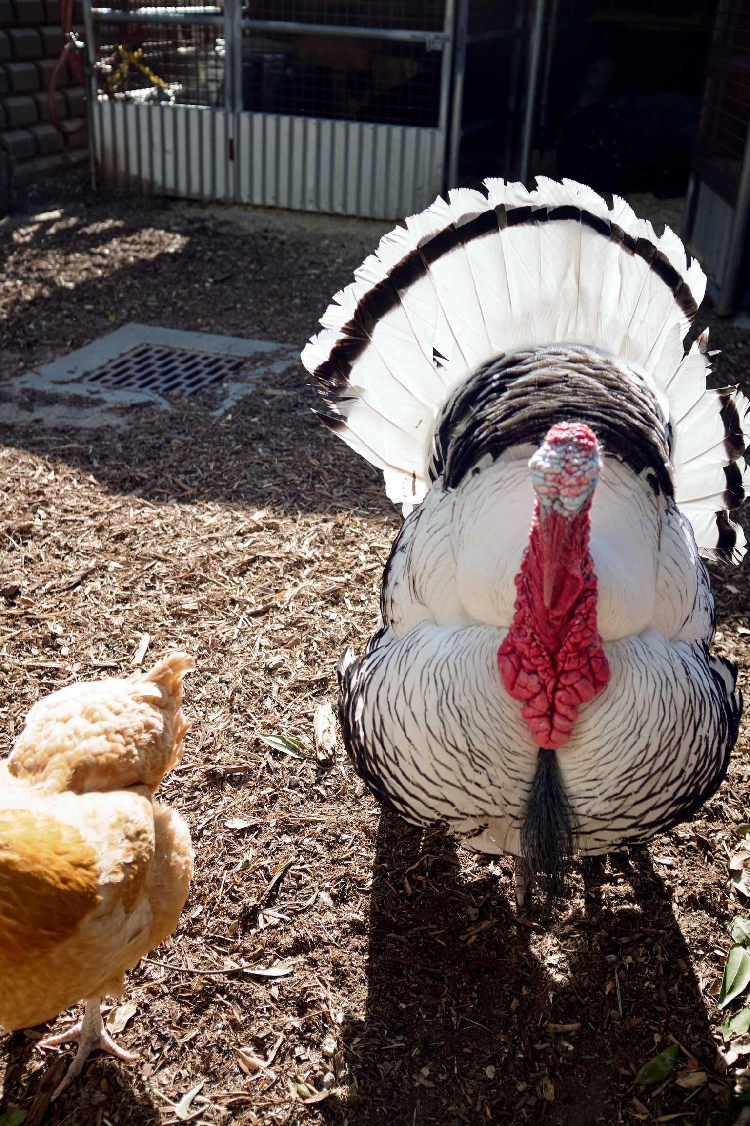 0F1B5219-DC19-42D5-A06B-231A09EFF921