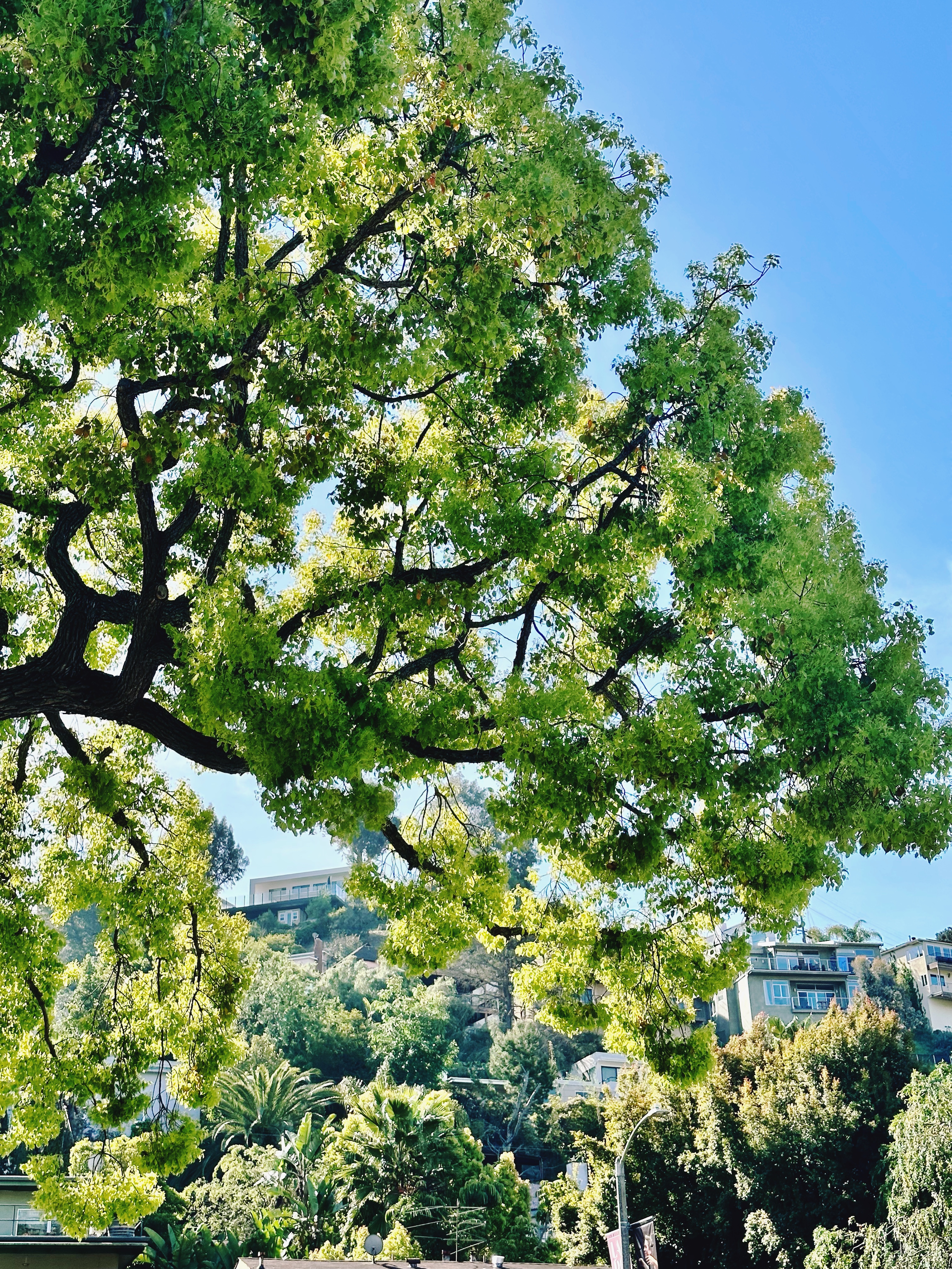 F9849257-C242-48F2-B4E2-76036561A276