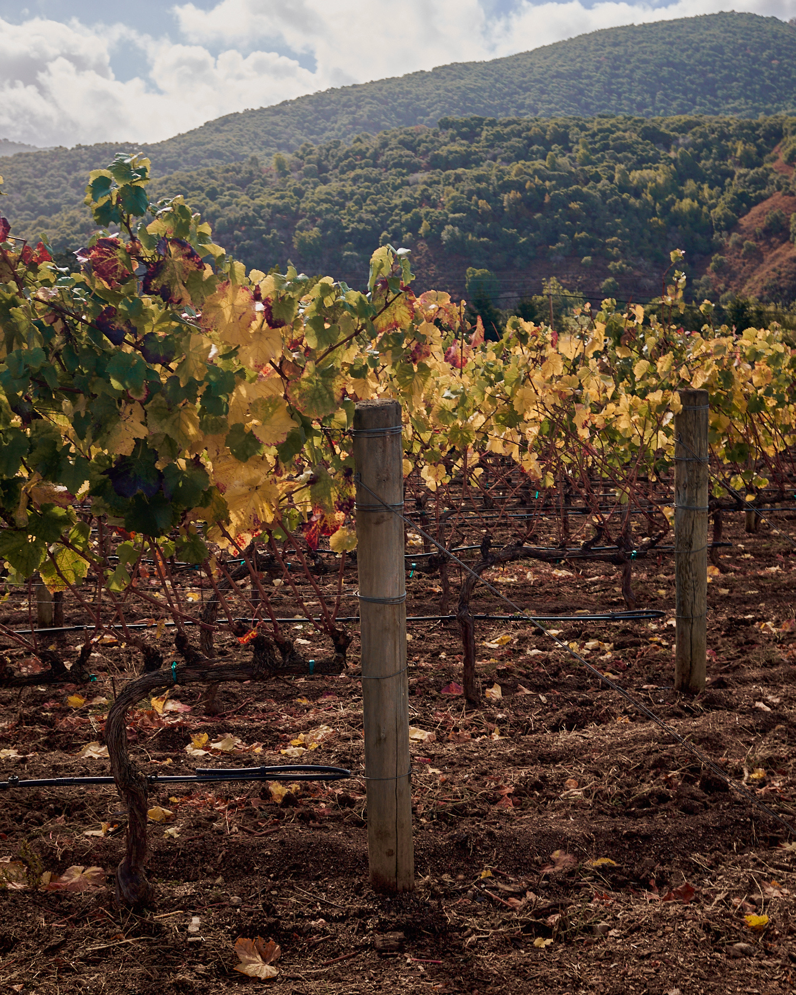 9C36367F-9A4E-4EE5-B4ED-195D8E767C75