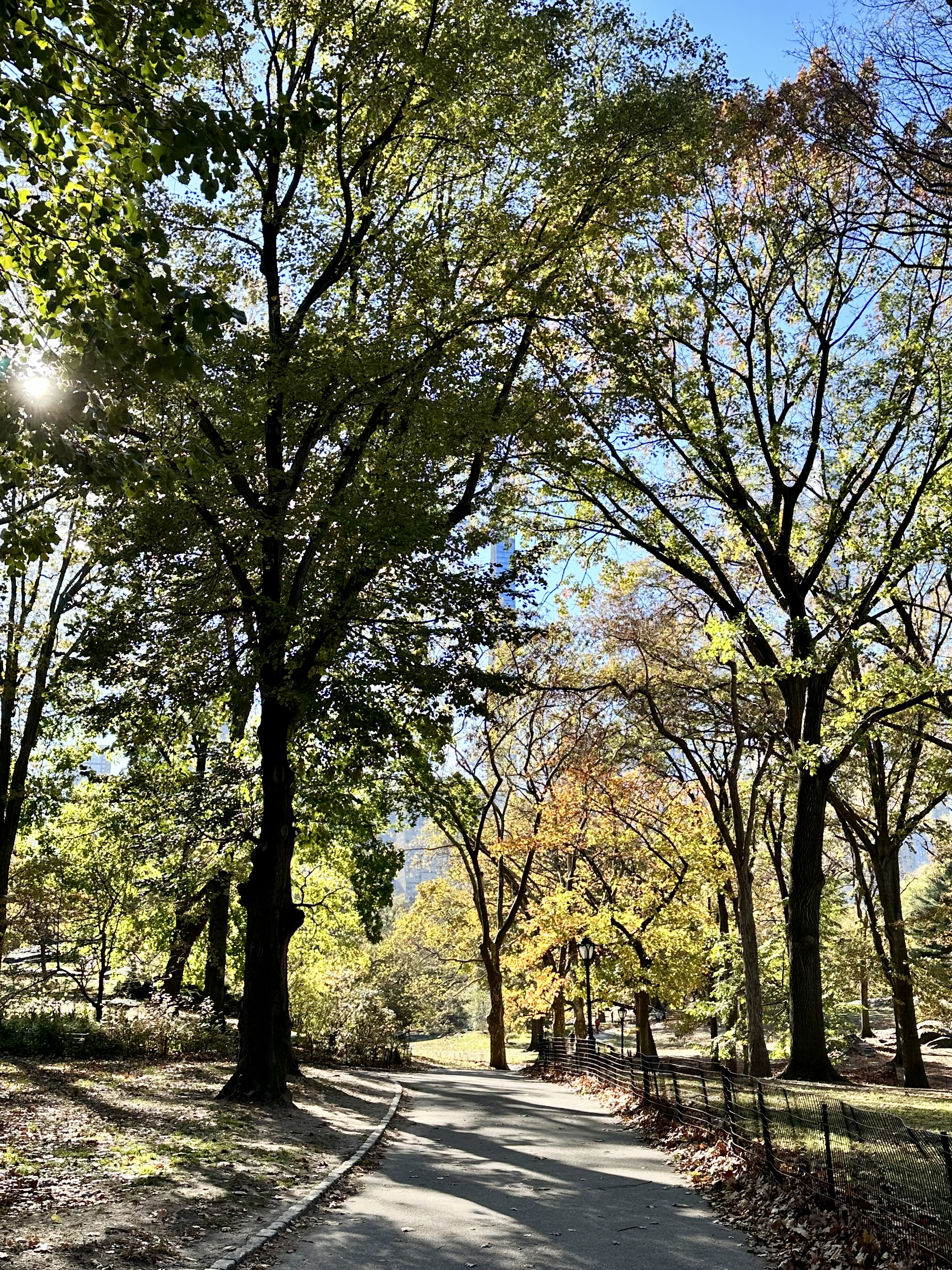 FB4169D1-900A-4D97-9B11-E7250C3C1A89