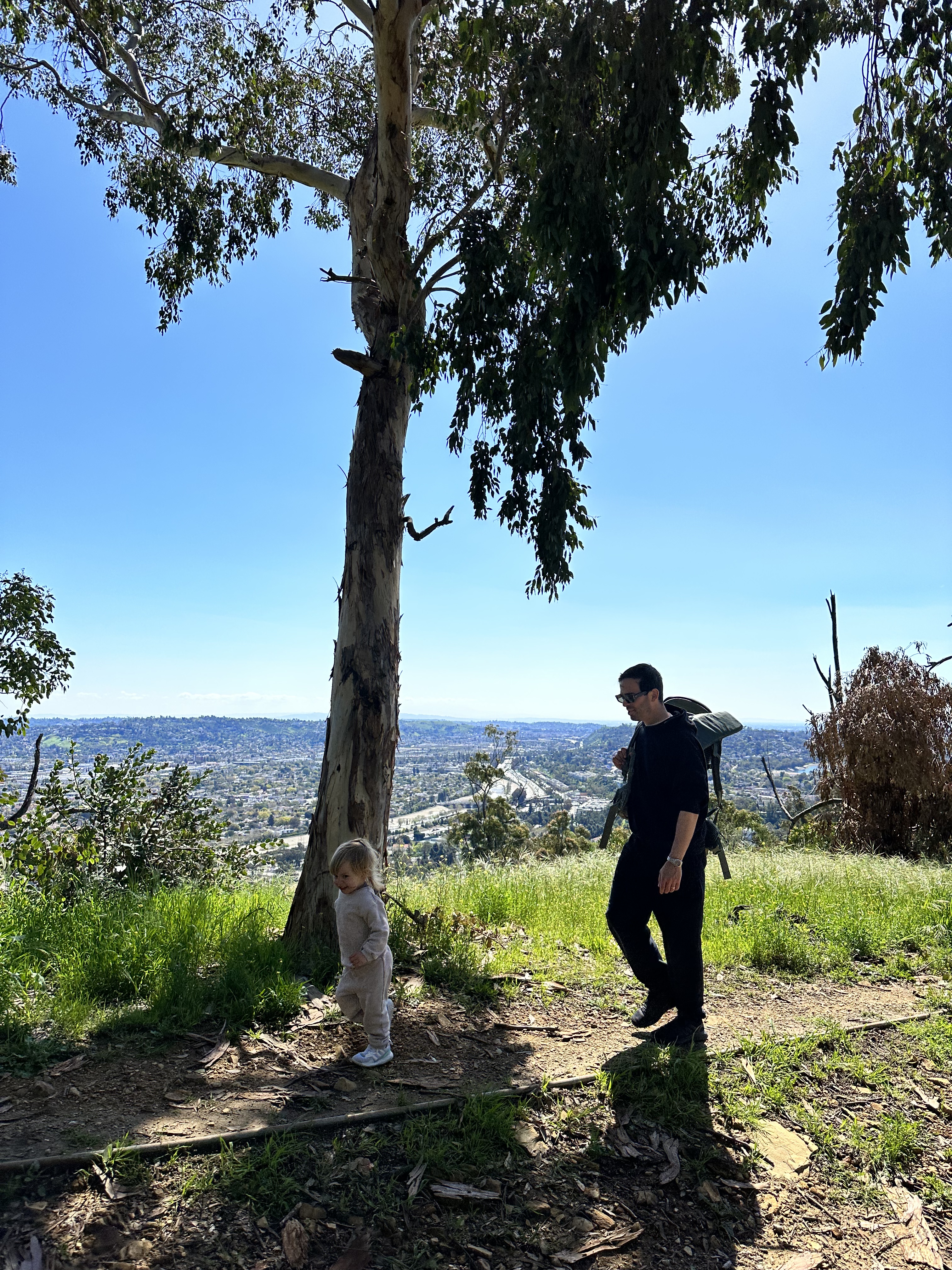 2FC282B3-9013-43FE-BC9E-7E976B34DCE8