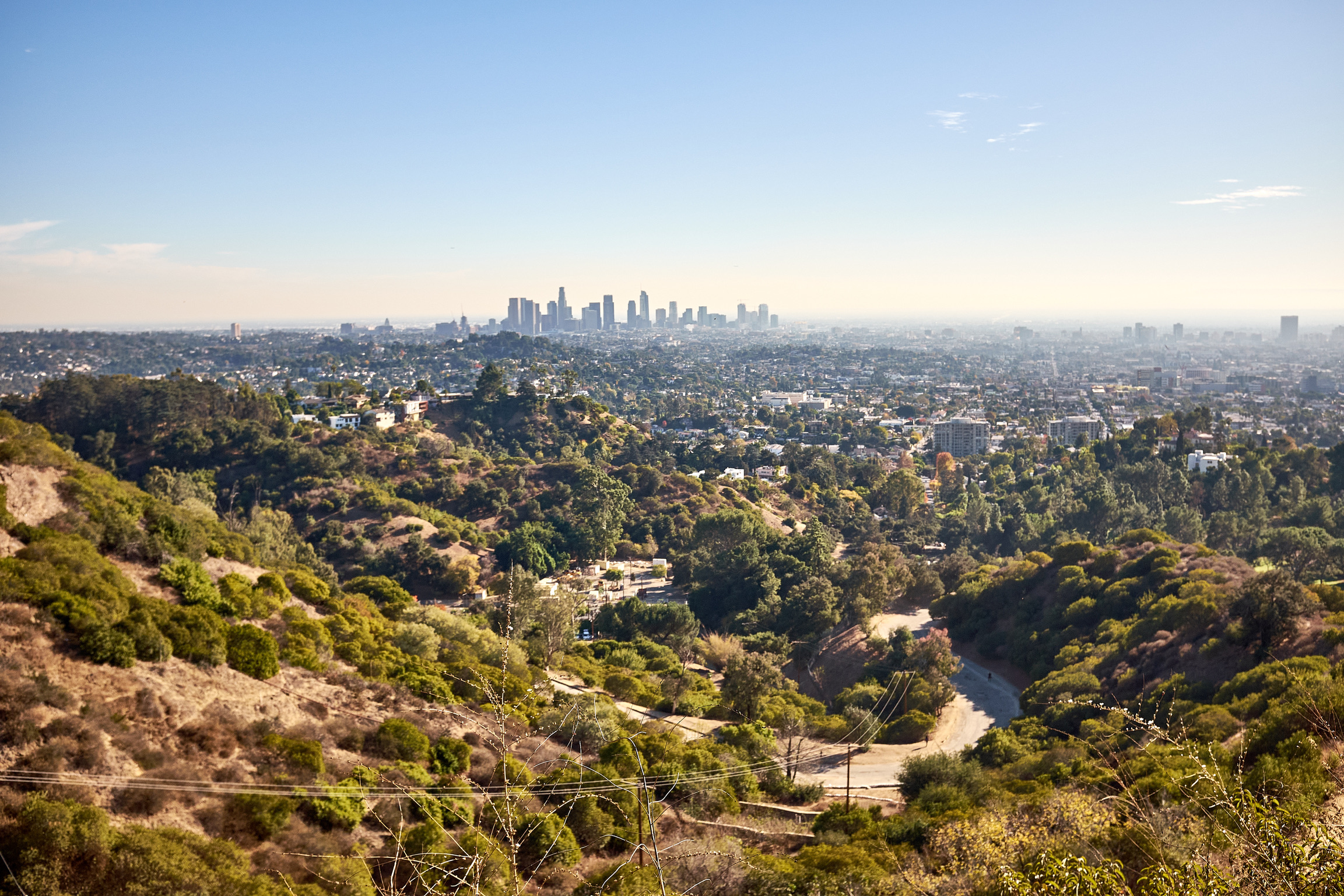 4422E5DC-5977-45A4-B288-A0449C96202F