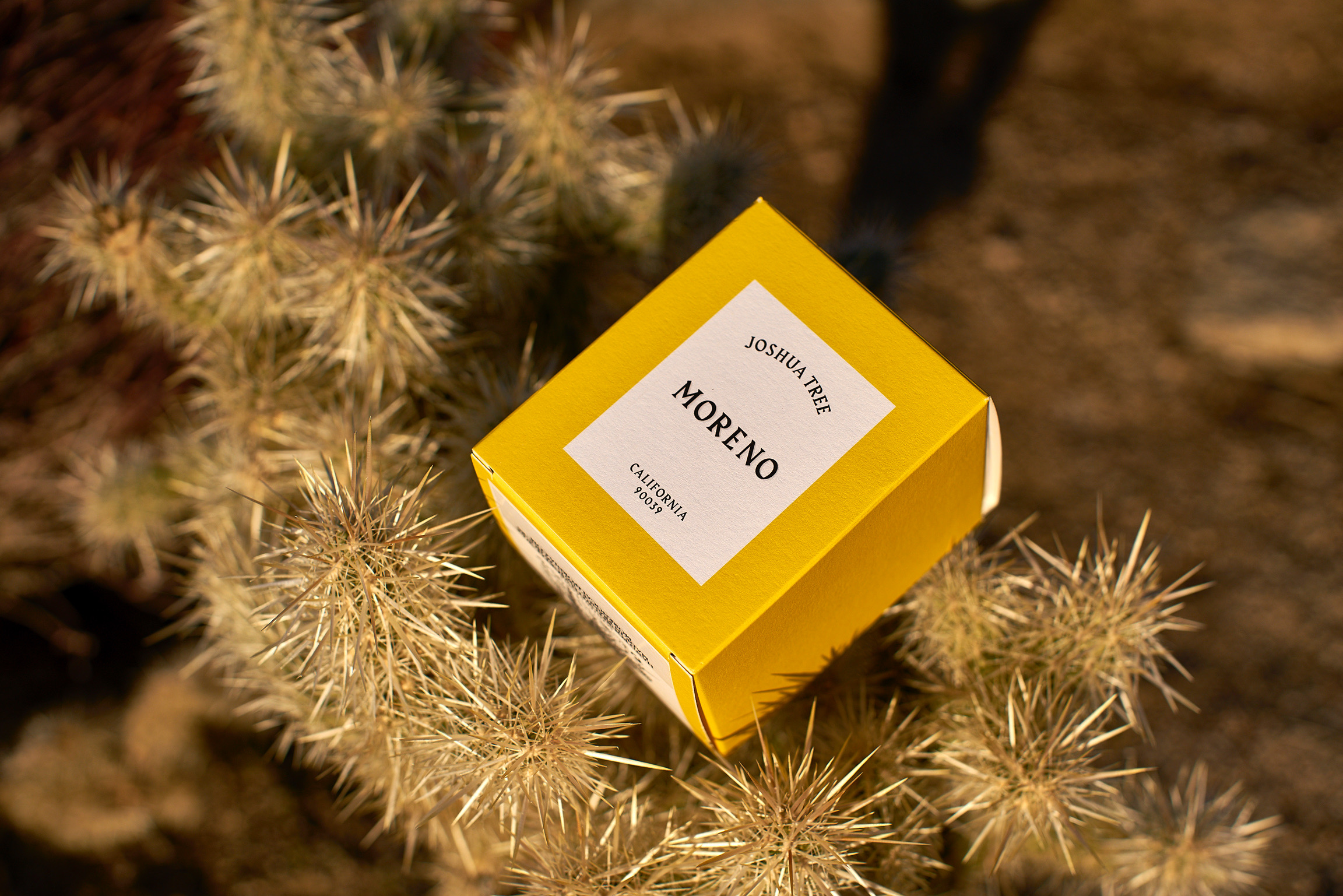 A9DFE5F4-D806-4071-A5C3-1C5E3FE27E11