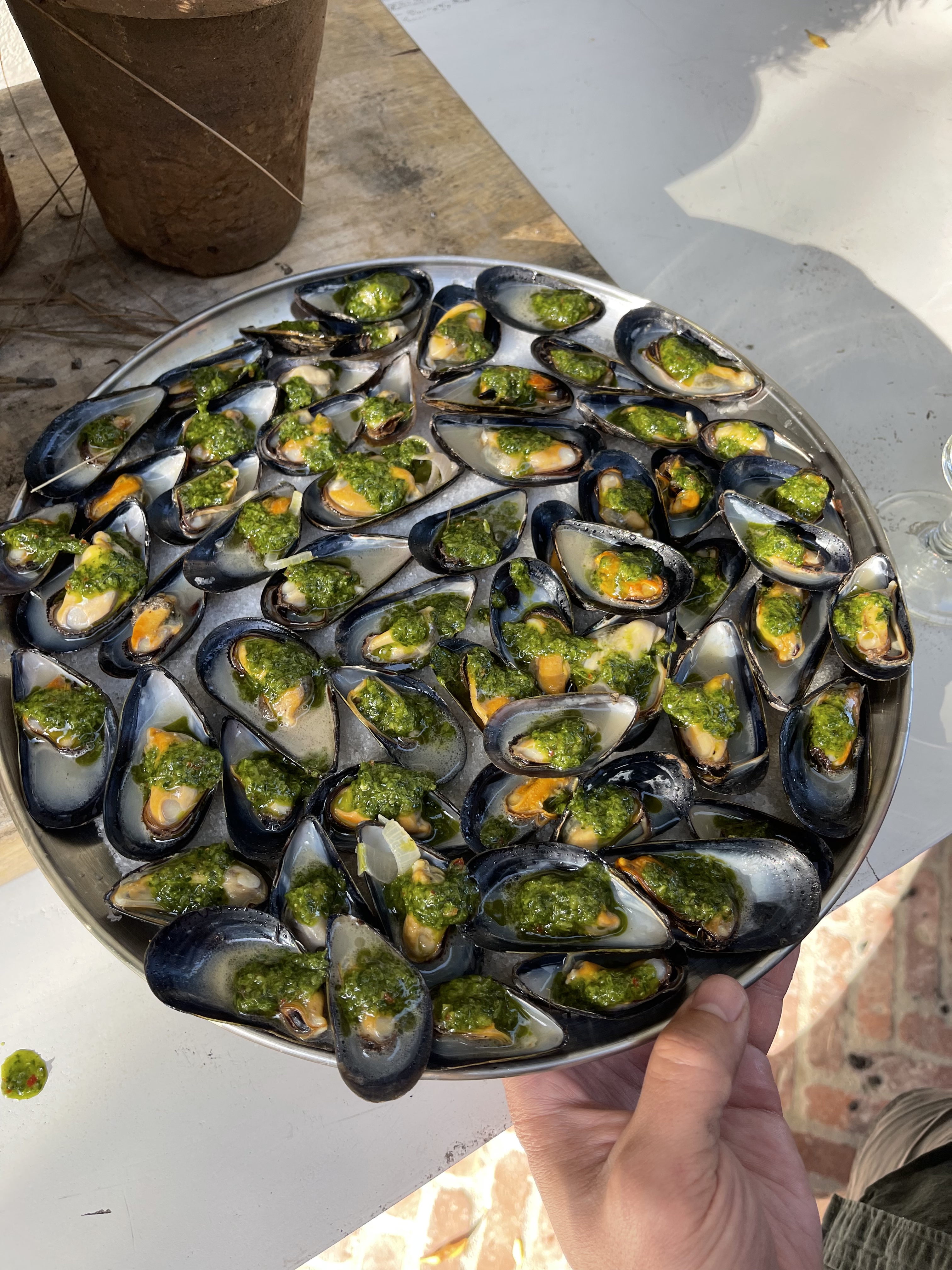 D242396E-8950-4764-A08E-A6754471B7DF