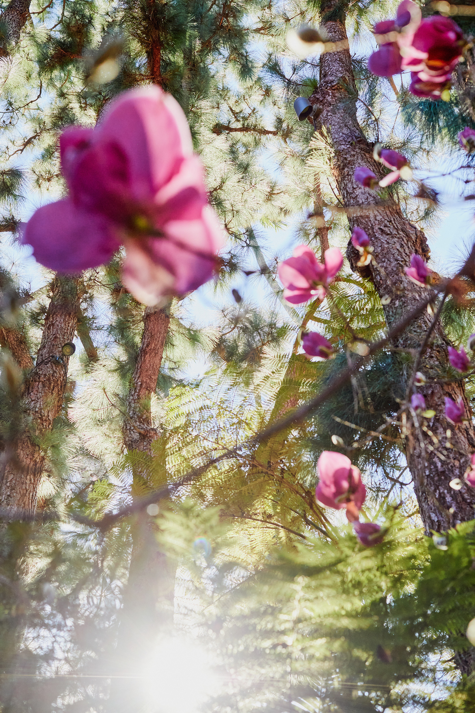 7AF4DB0B-2C0F-4093-B638-531663D8FF7A