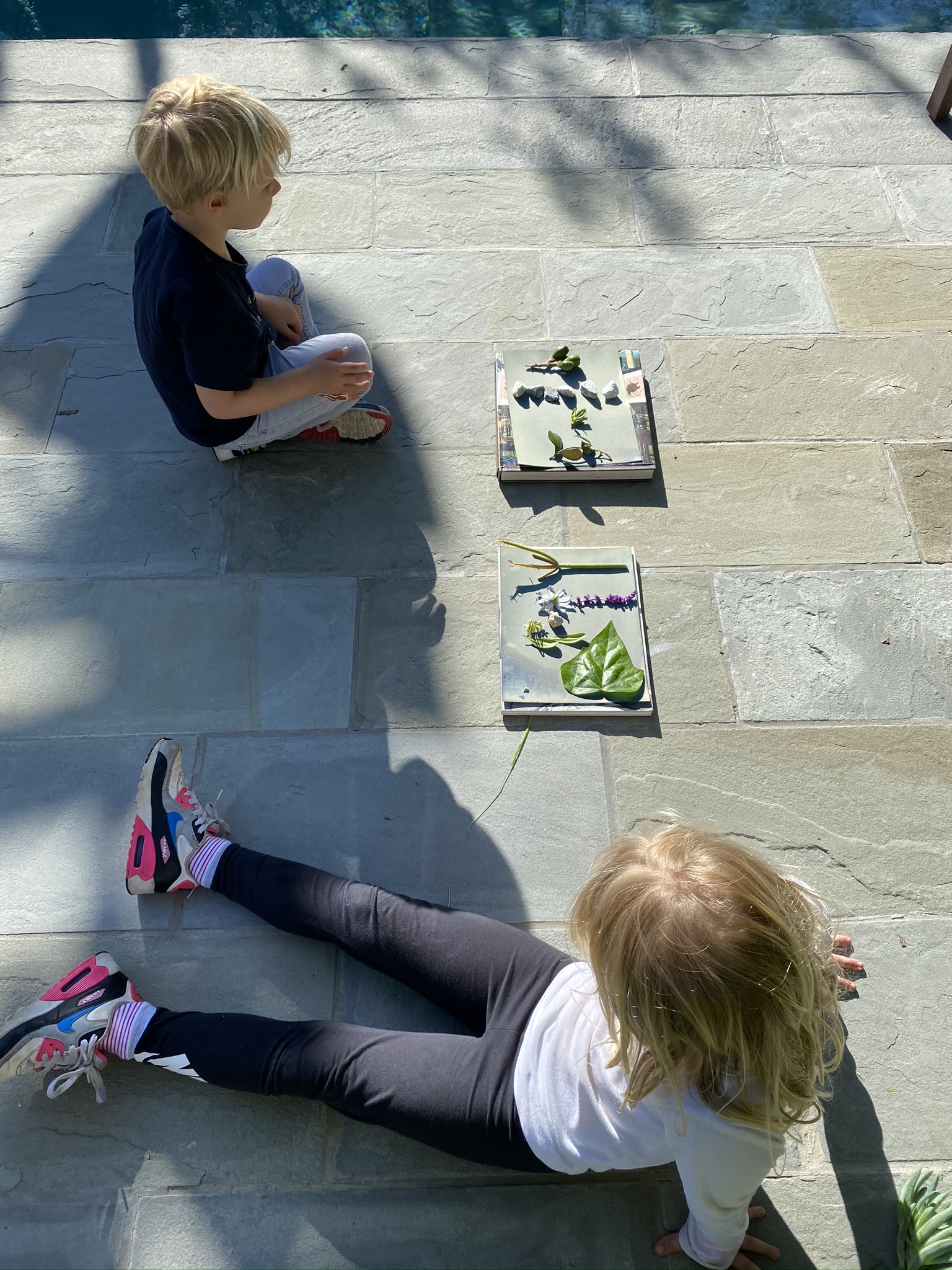 43C56B45-BCC6-4AB8-86C1-92401813E176