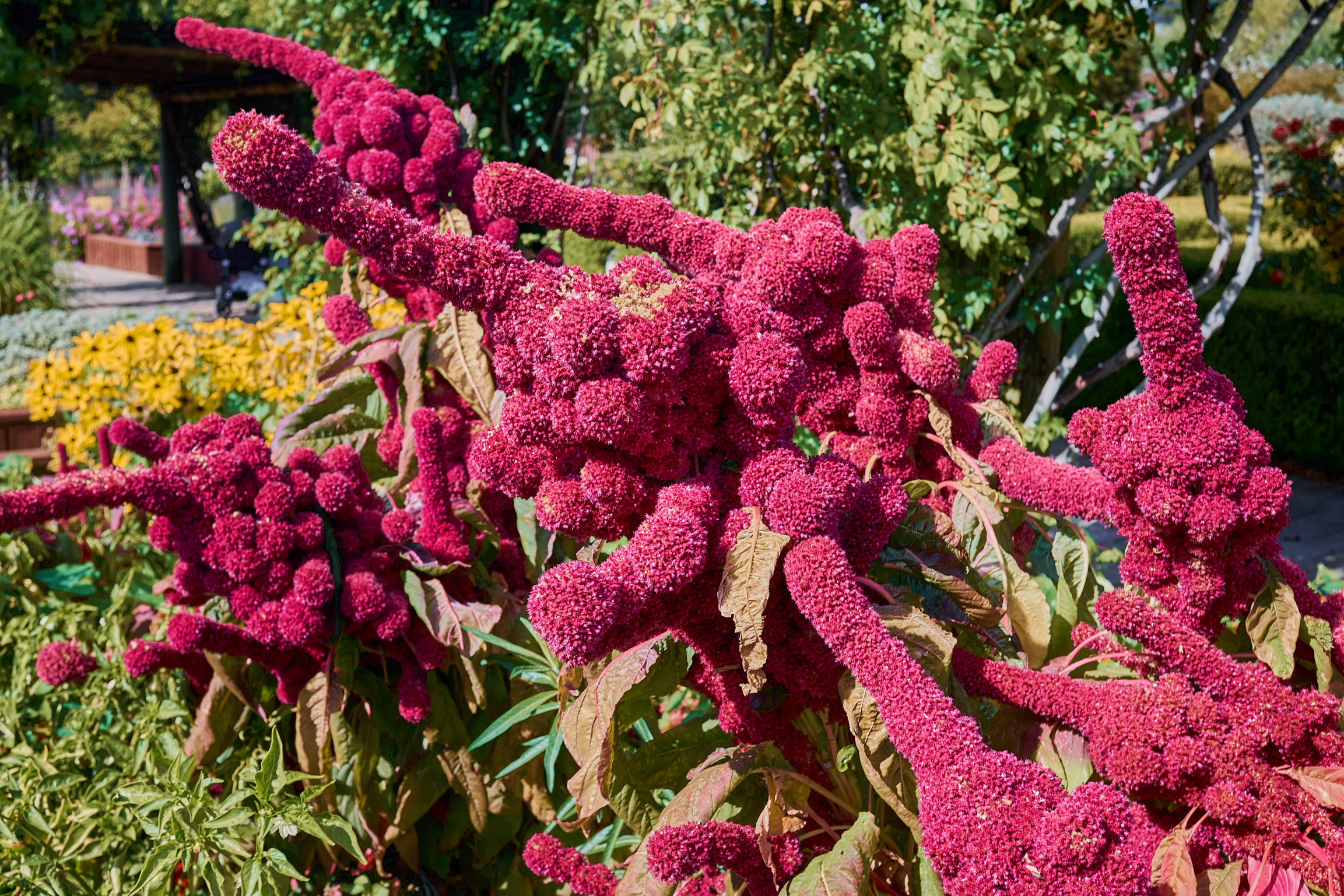 FA375B2B-F611-49F2-B979-6755267E4439