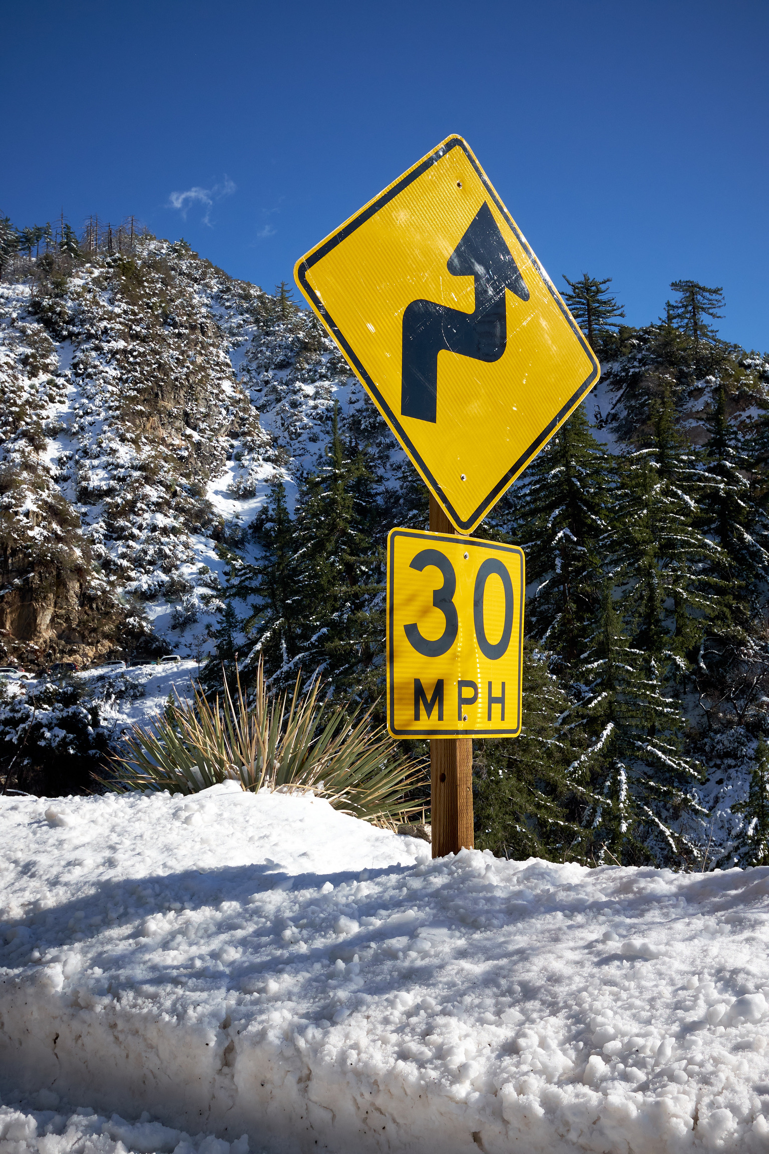 3FC838B3-7AF2-4EF9-AC6D-428B9E4F9ACC