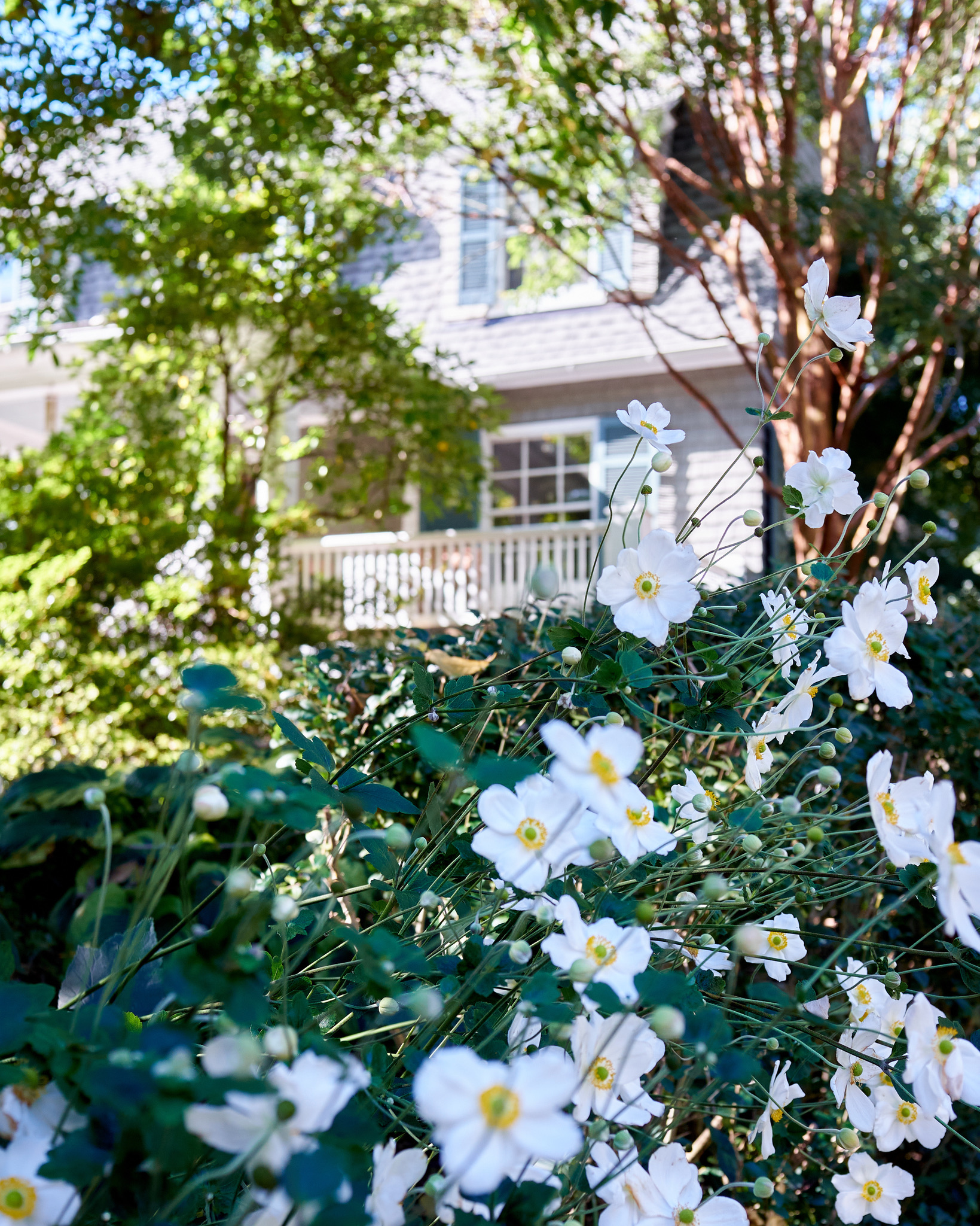 2D0F8940-BAFF-4110-AA53-69FEDAD1D174