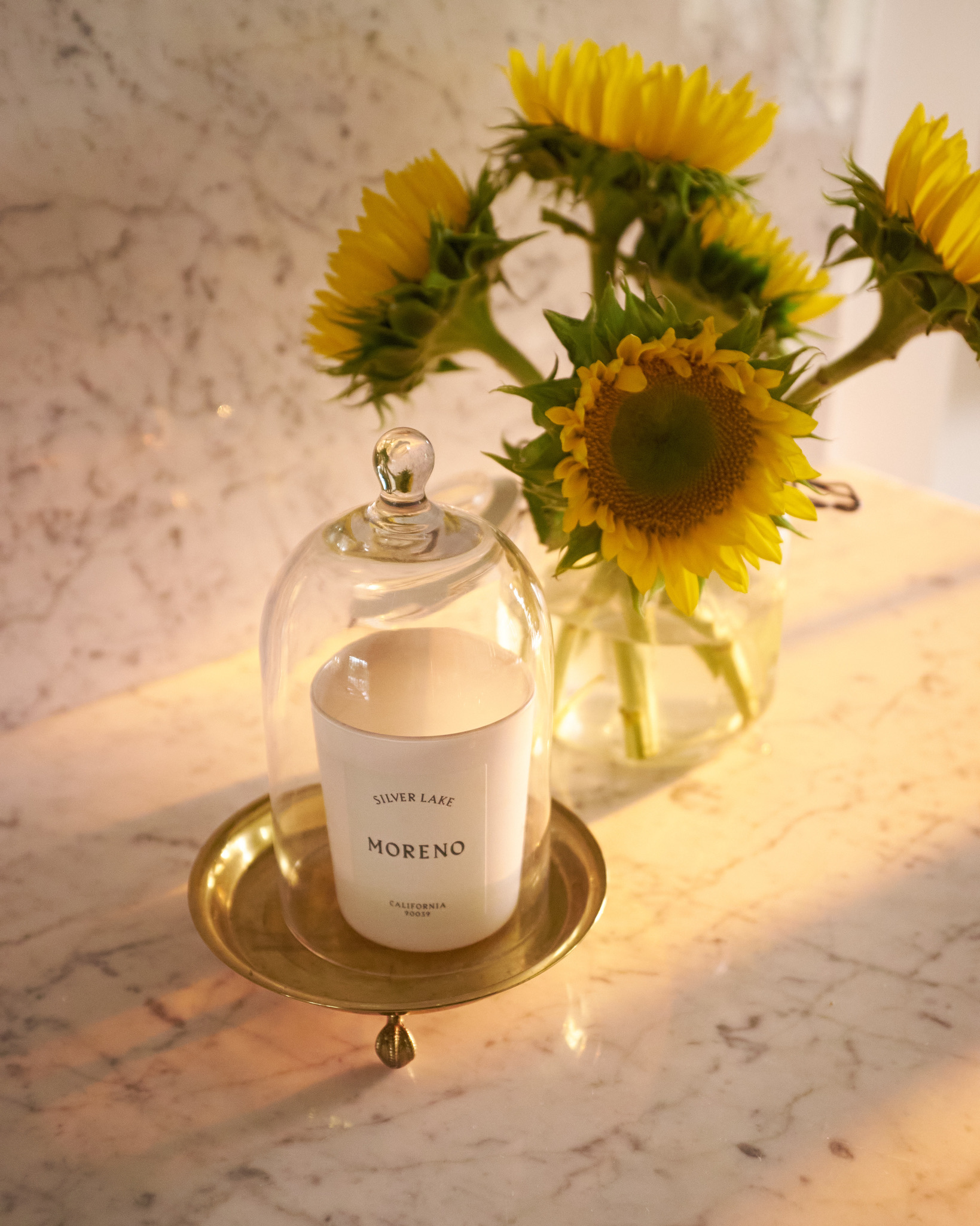 0409CAEE-3599-4C42-A0B3-EBEAF2574D1A