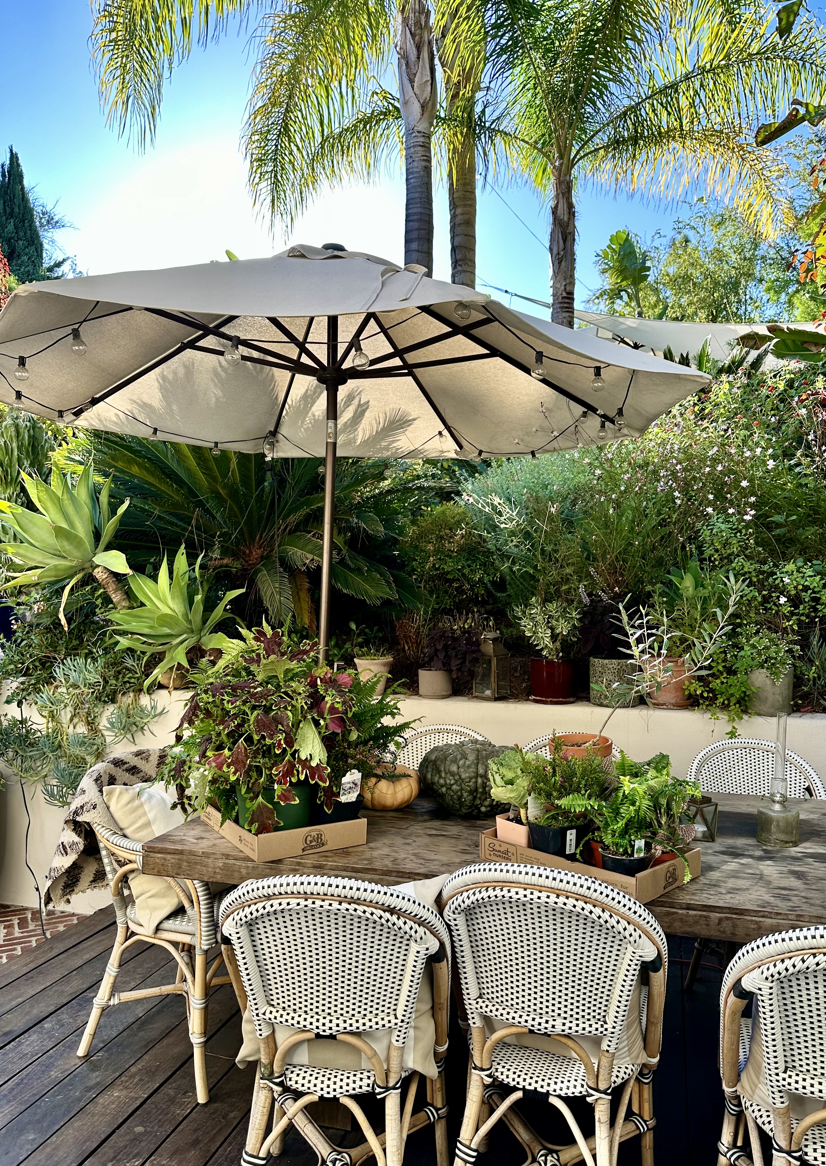 FFF4F998-33B9-4864-890F-1D843964D98F