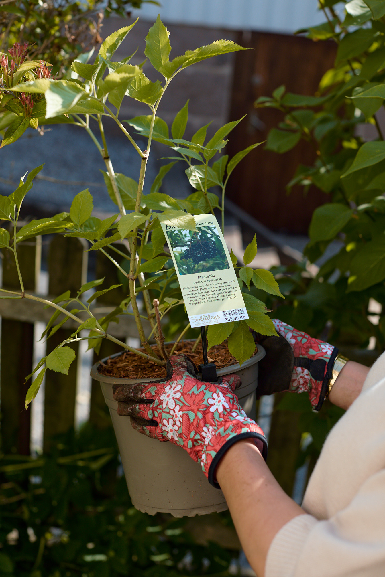 9B30B1BA-8087-42C2-8BE5-A7743659A408