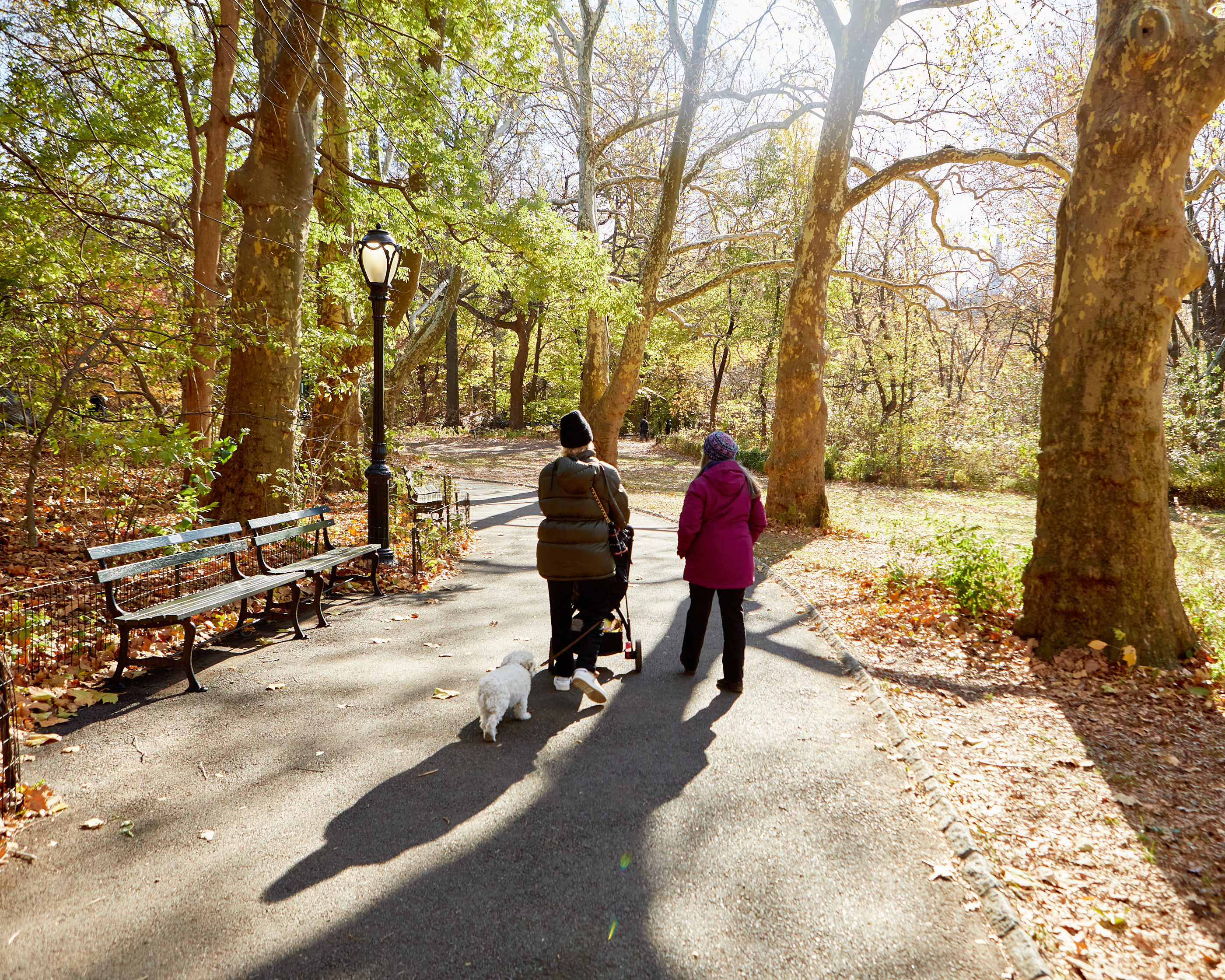 552F64C3-D68A-40CA-B96D-8FA0606A0E57