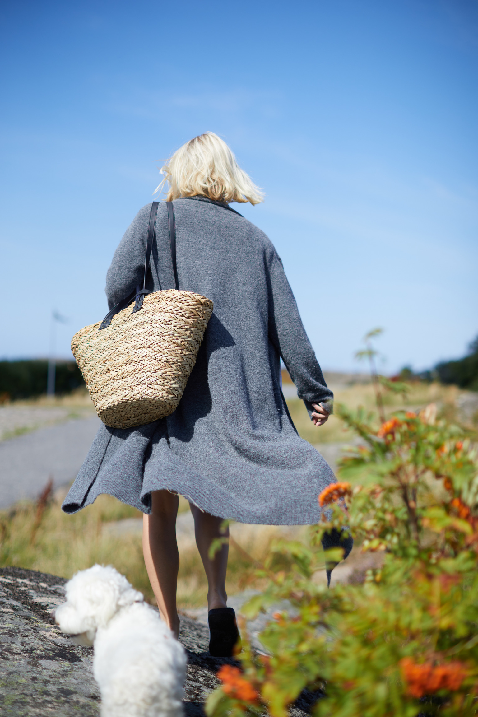 509C0924-72EC-4F48-9CD3-DB1856348AD1