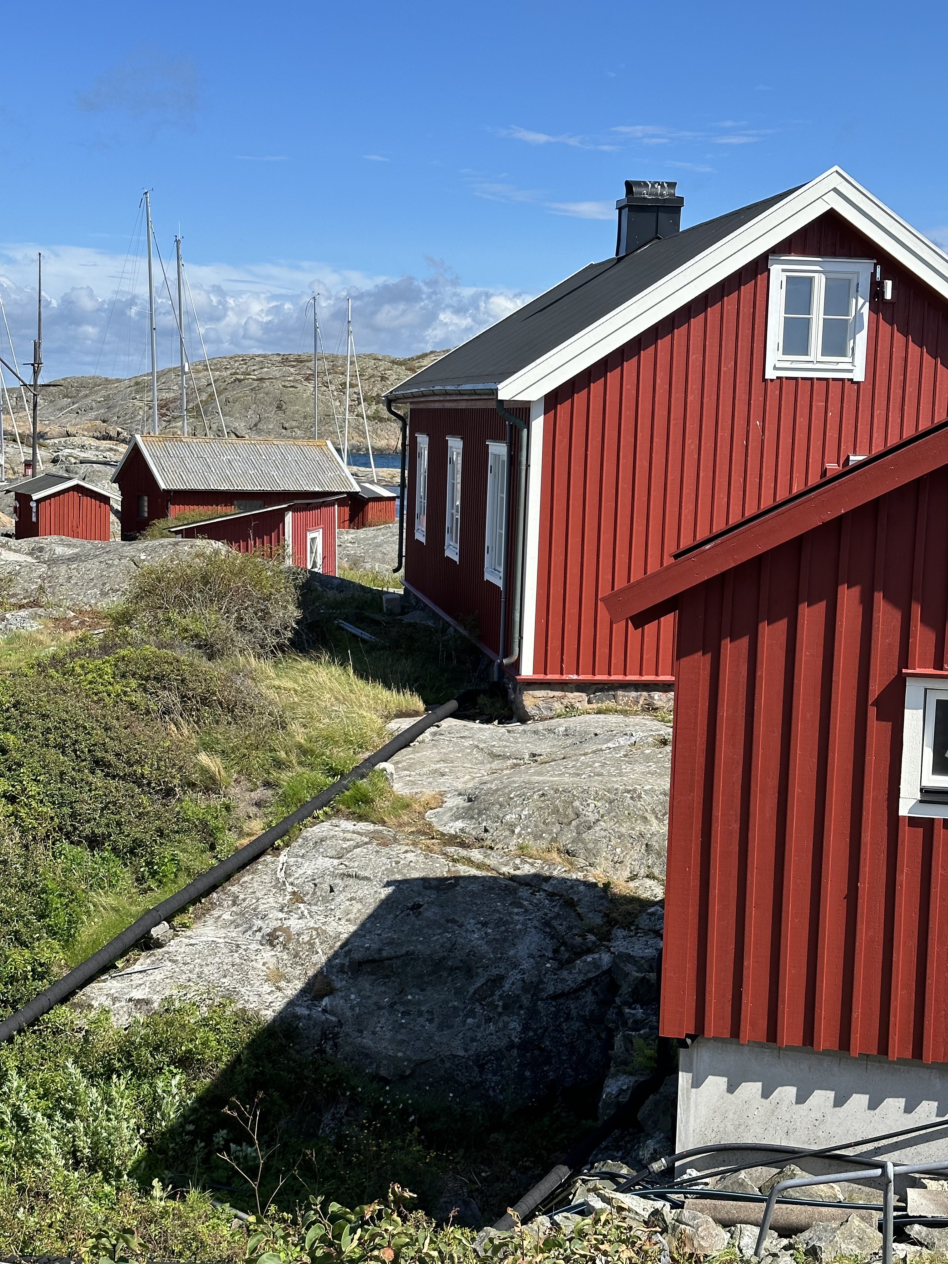 CE6E4DAF-DEE0-42F9-89AE-FE45C25AA93A