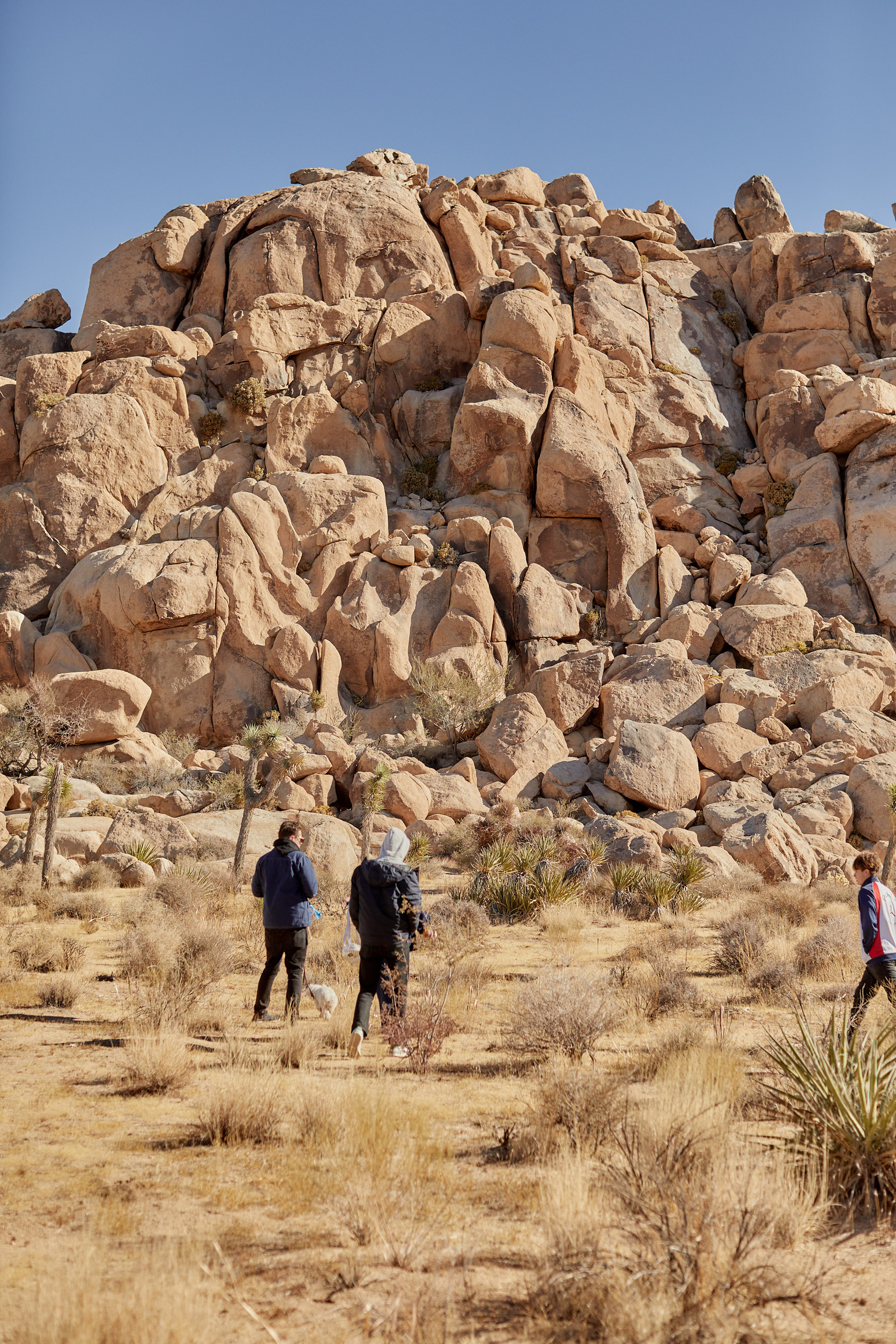 72DD713C-D919-4191-BE7A-331C407C0635