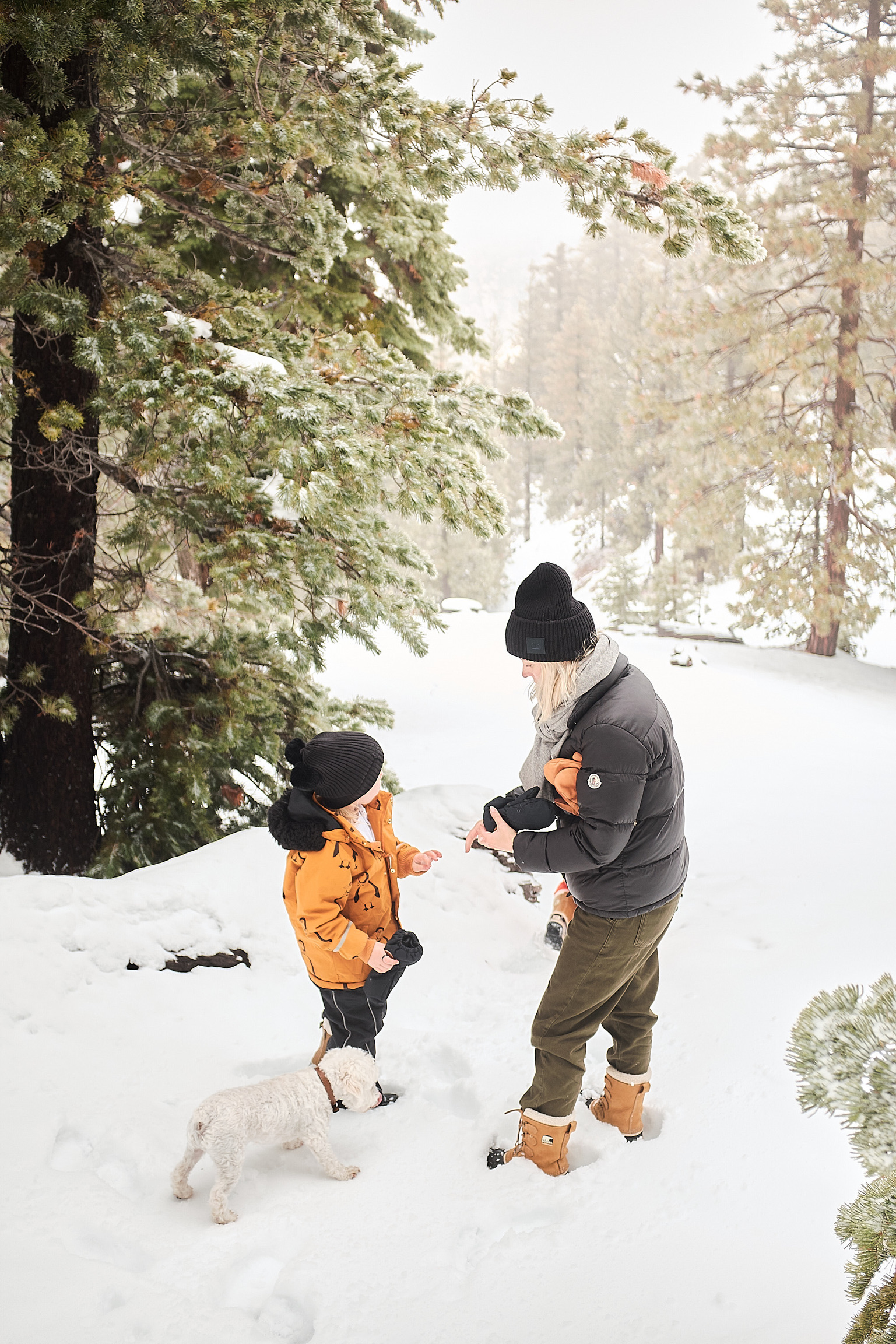 04EB9718-9890-4D01-87A3-625CCA9999C7