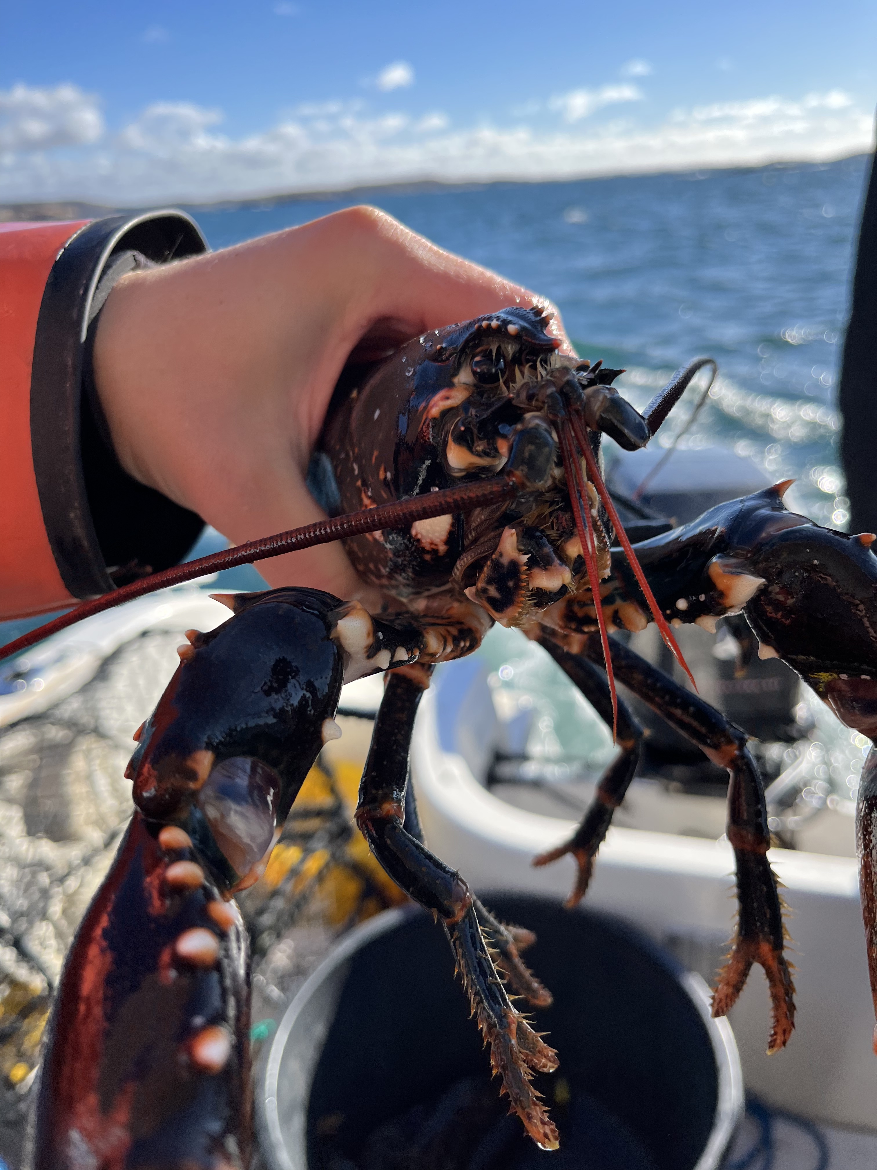 362CBB46-708C-4CE6-8AC4-0A536DBBBB74