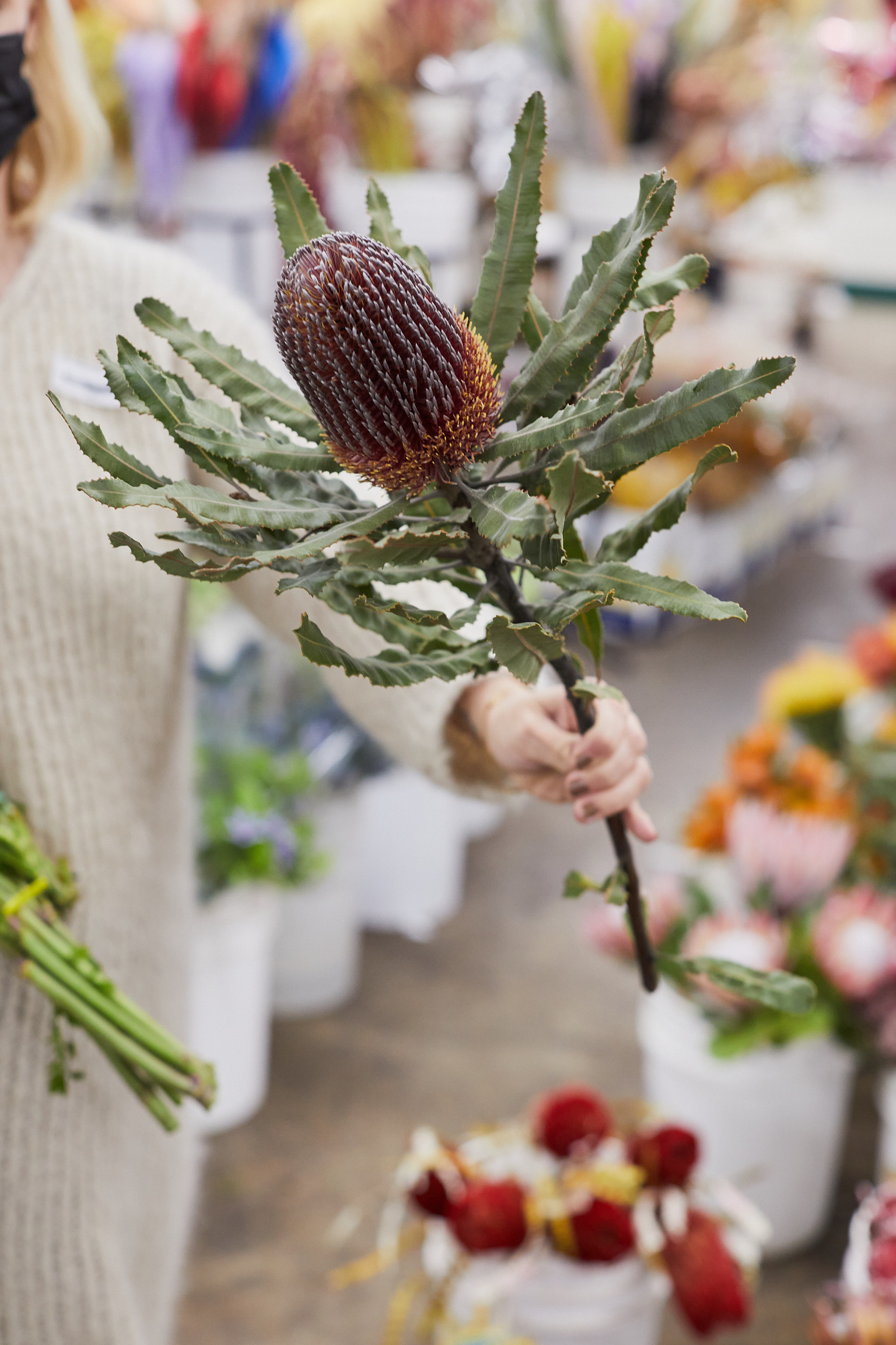 A2782A0F-AD63-46C9-A4D4-0E89AC08C0B7