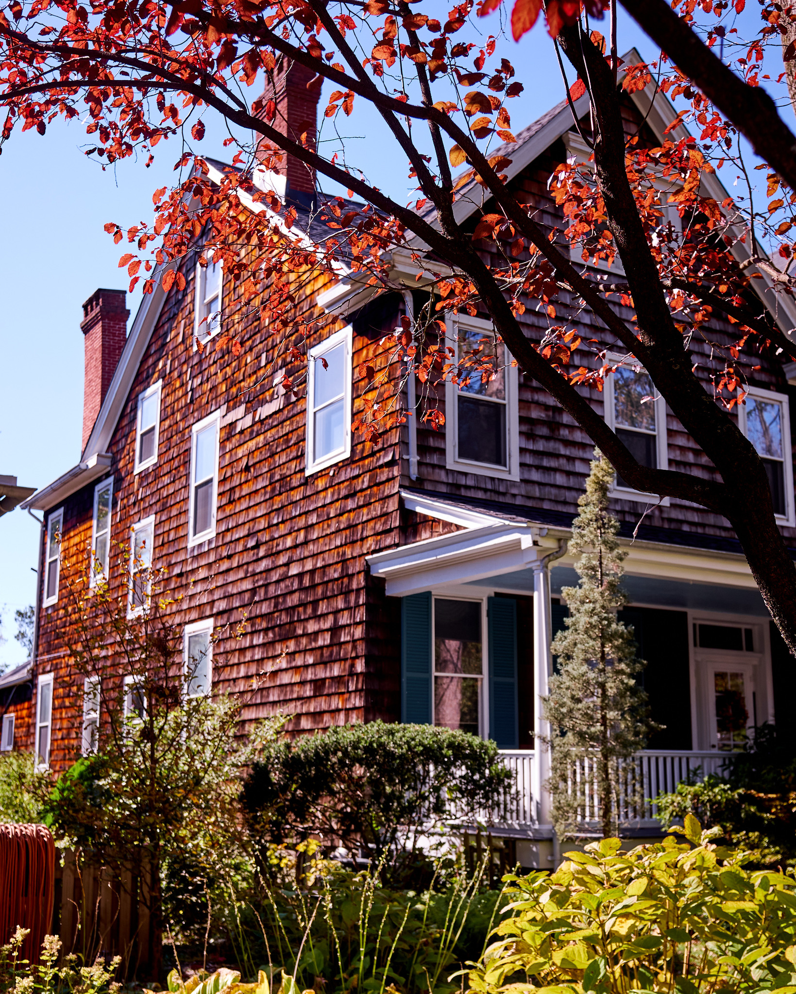 6237C19F-F0A8-4CD3-85D8-F51E812E90C8