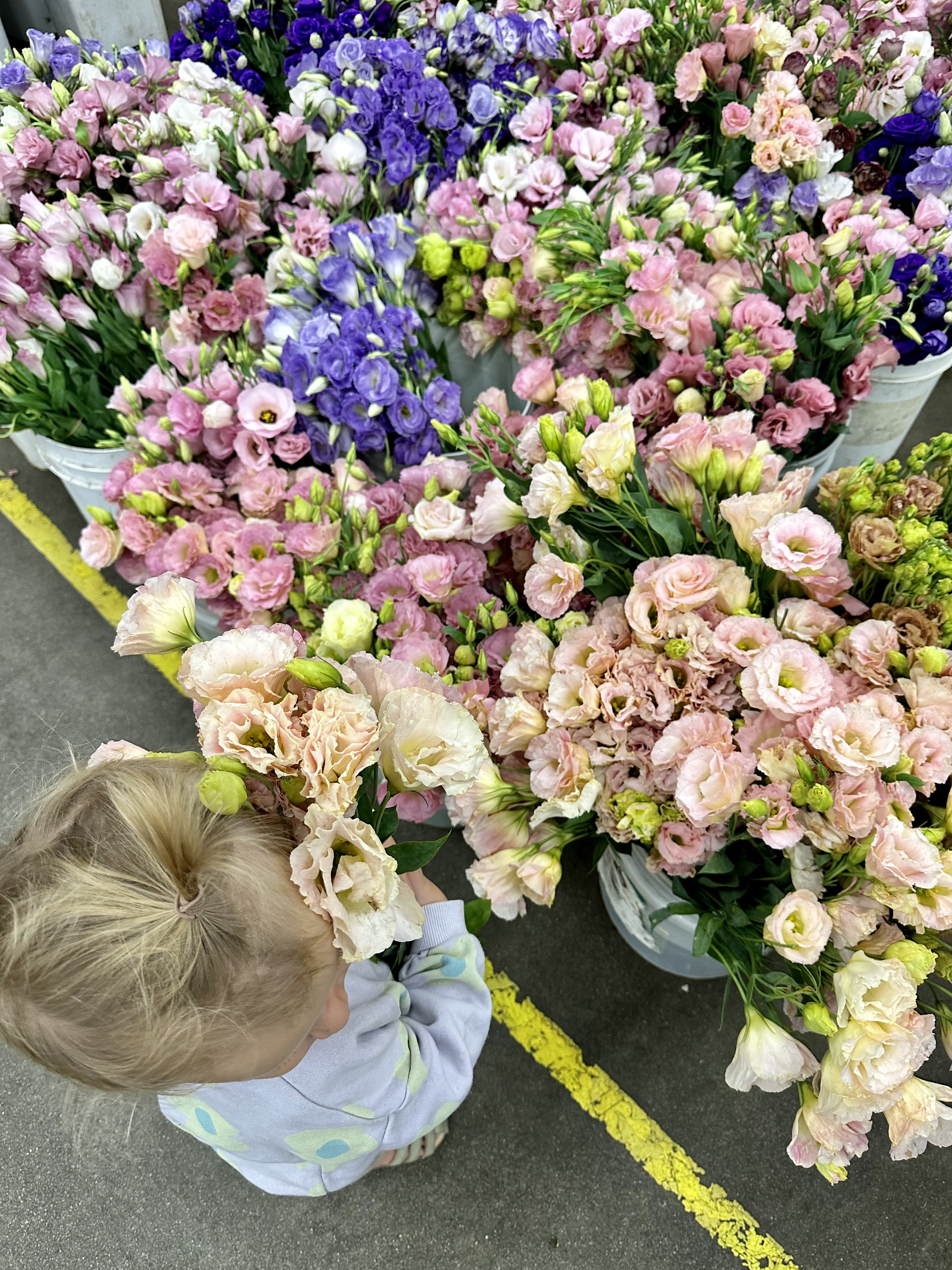 0B353462-C3C7-4556-812A-7DCA96E5AD60