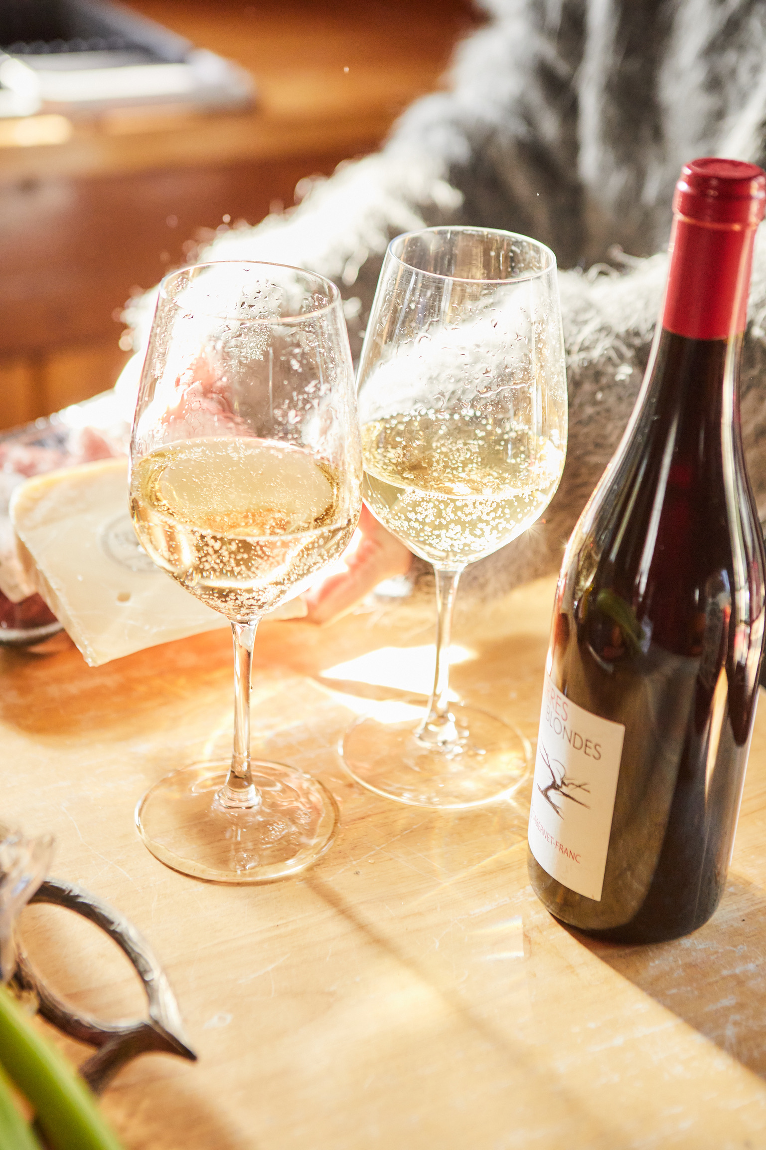 031048D0-FC7C-4419-8963-1C9A83C4B20E