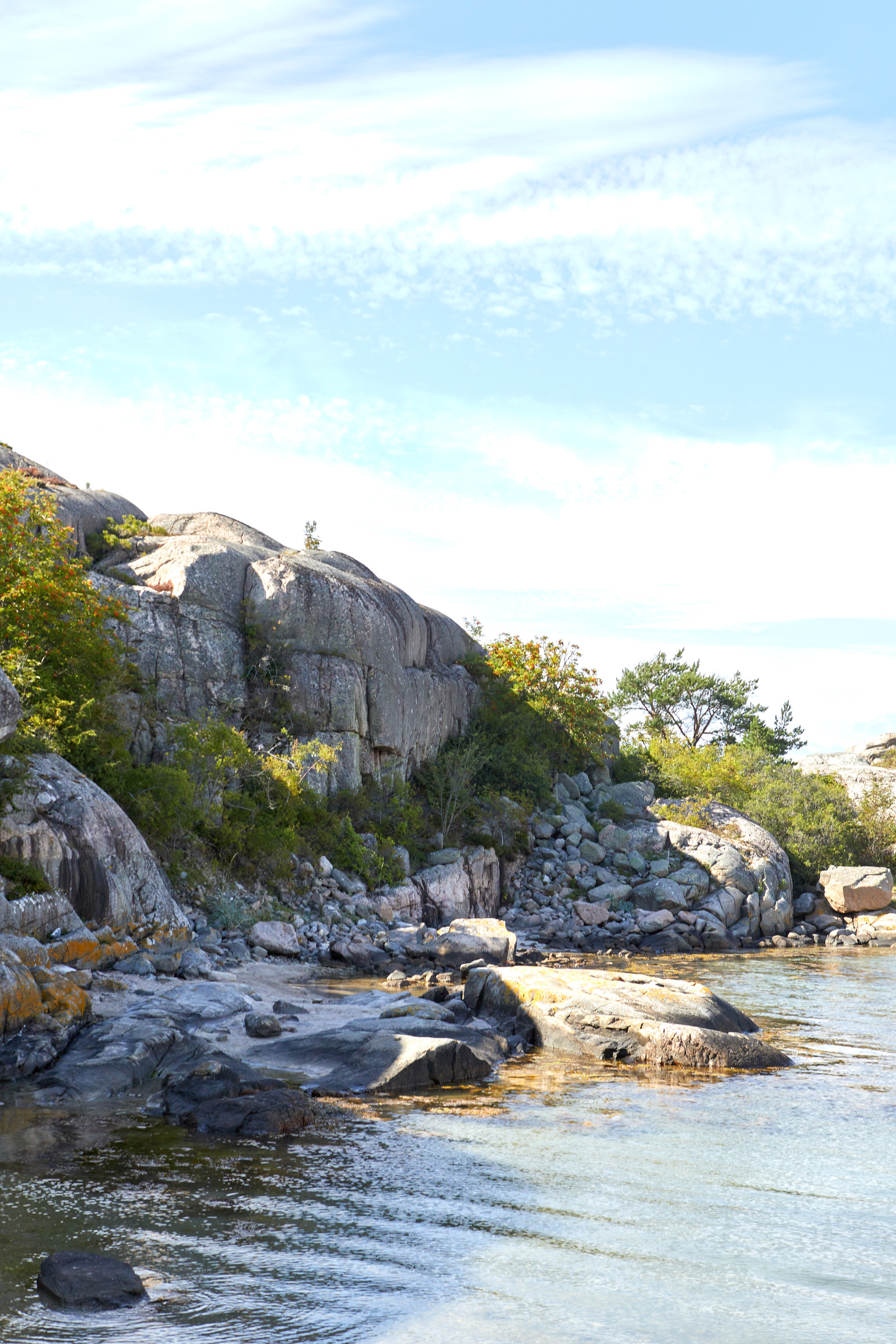 0039EC17-2781-4DCC-B7F6-8B4C1A2CEA9D